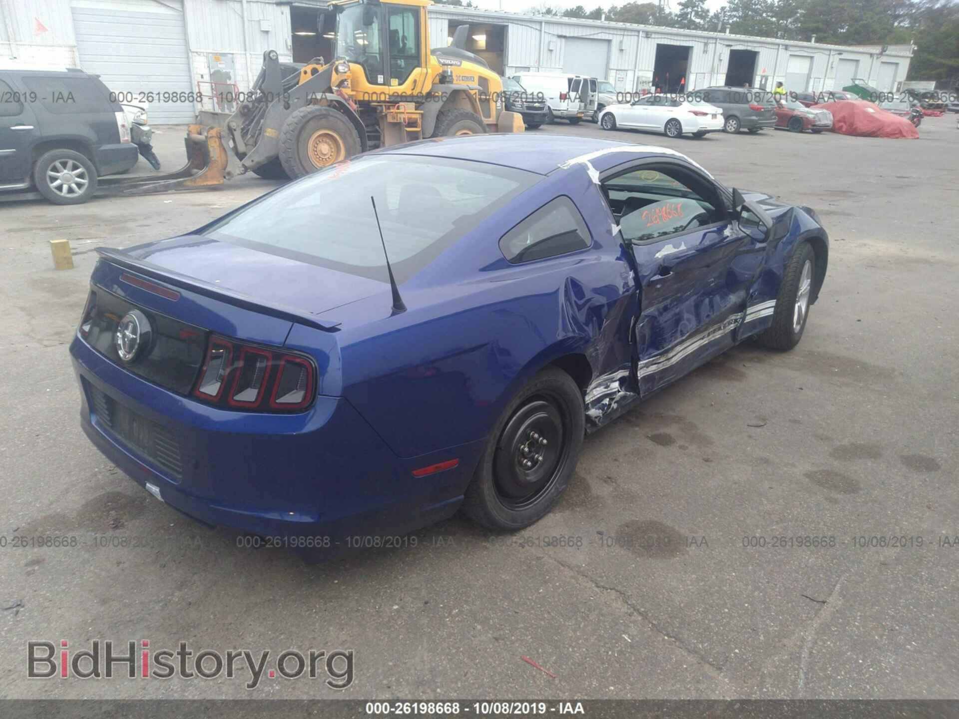 2013 FORD MUSTANG - VIN: 1ZVBP8AM8D5225910 - Фото 4