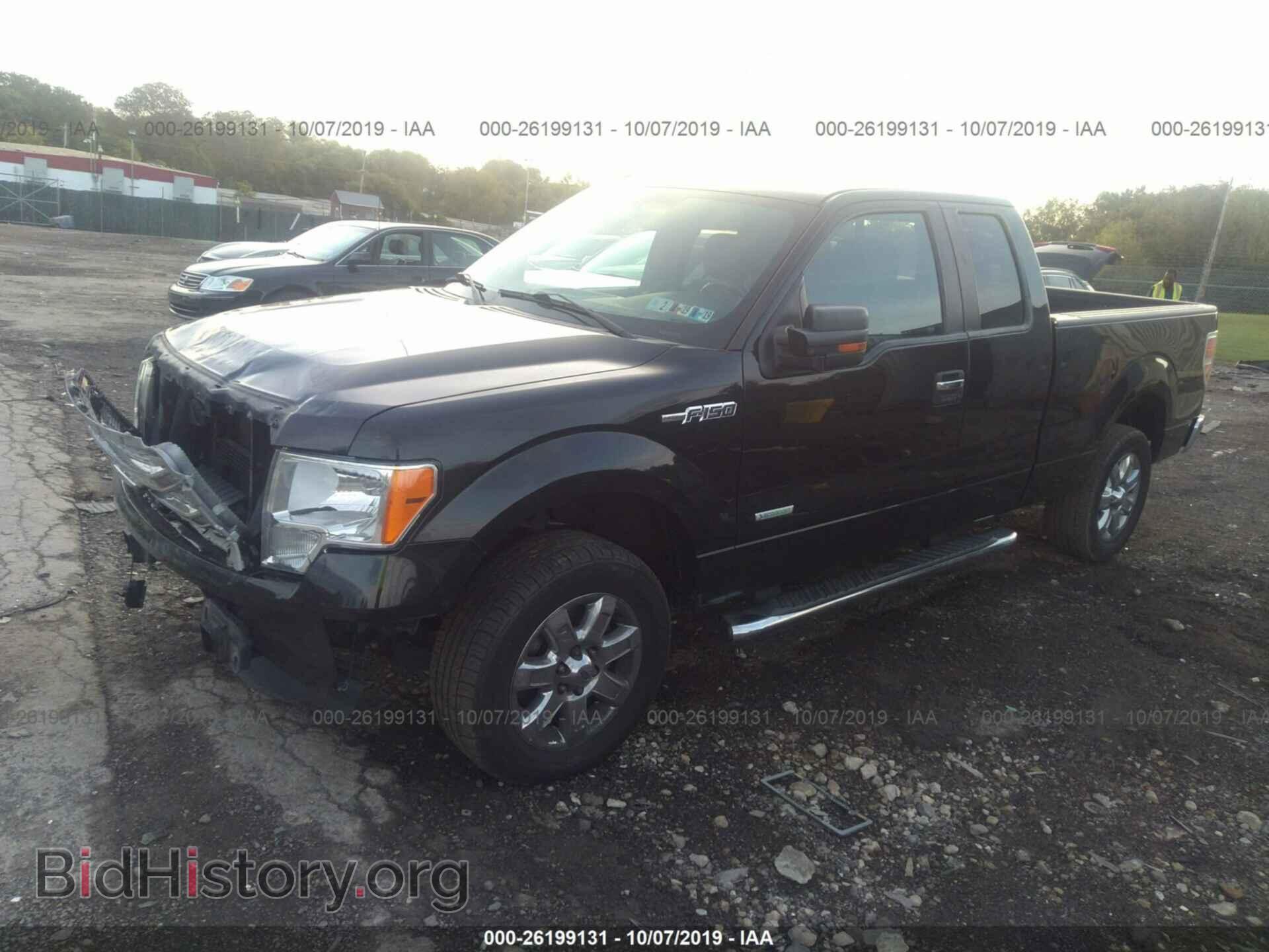 2013 FORD F150 - VIN: 1FTFX1CT6DFC62559 - Фото 2