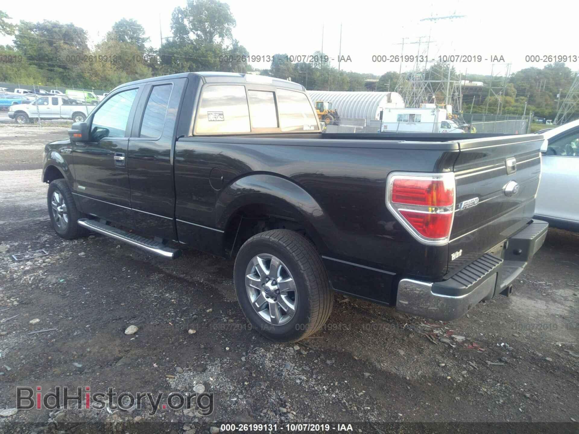 2013 FORD F150 - VIN: 1FTFX1CT6DFC62559 - Фото 3