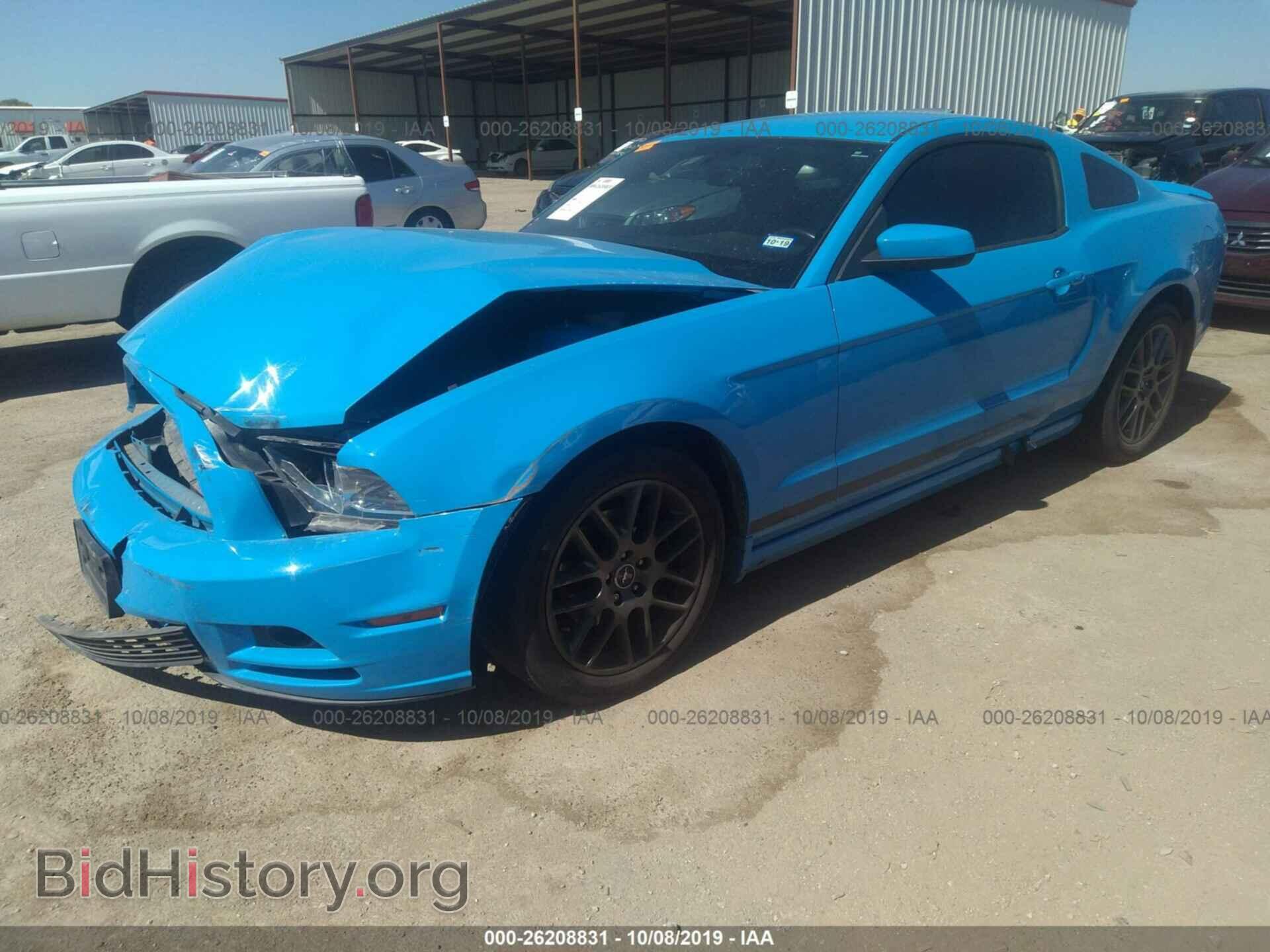 2013 FORD MUSTANG - VIN: 1ZVBP8AM6D5244830 - Фото 2