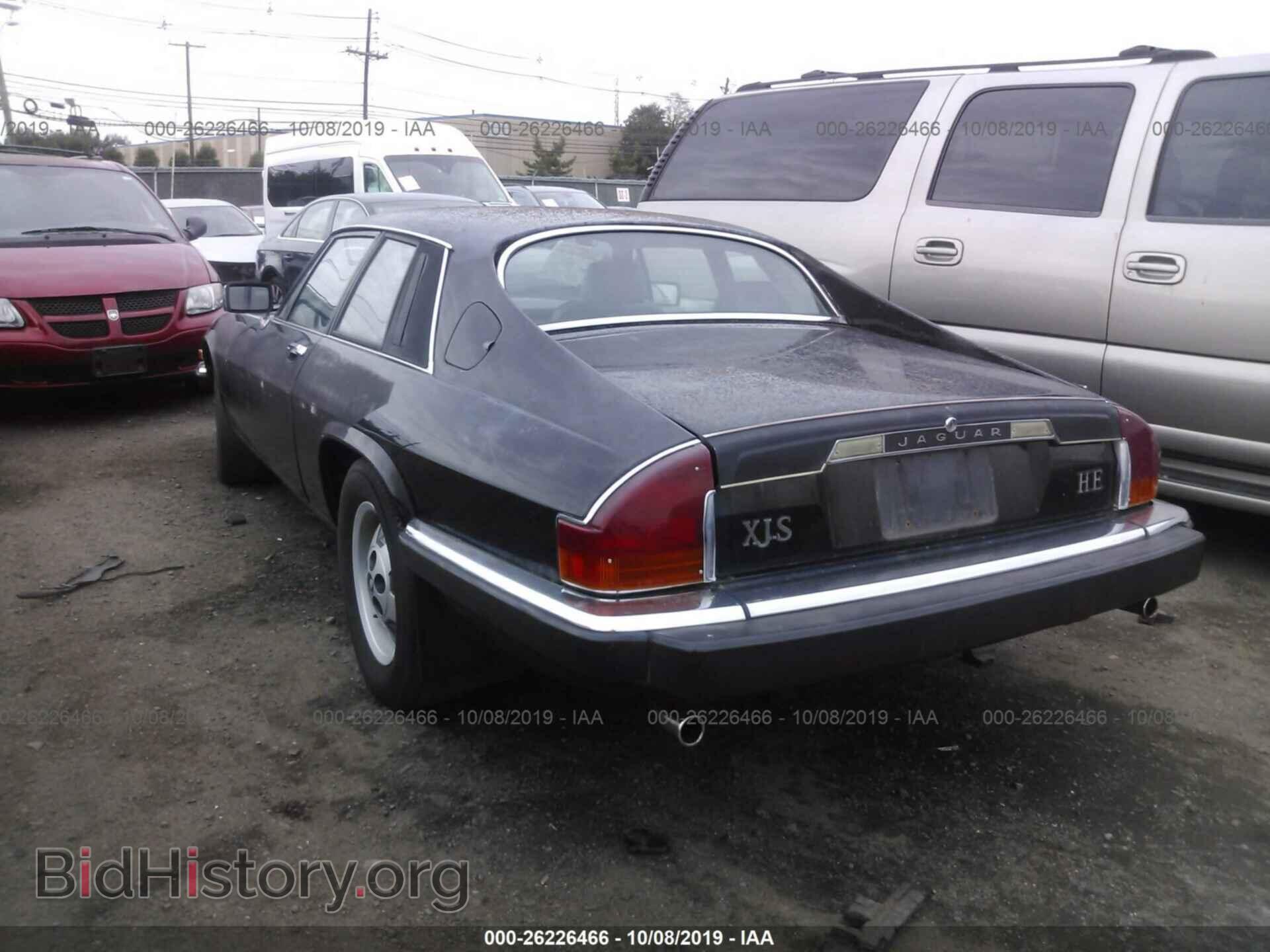 1984 JAGUAR XJS - VIN: SAJNV5849EC116252 - Фото 3