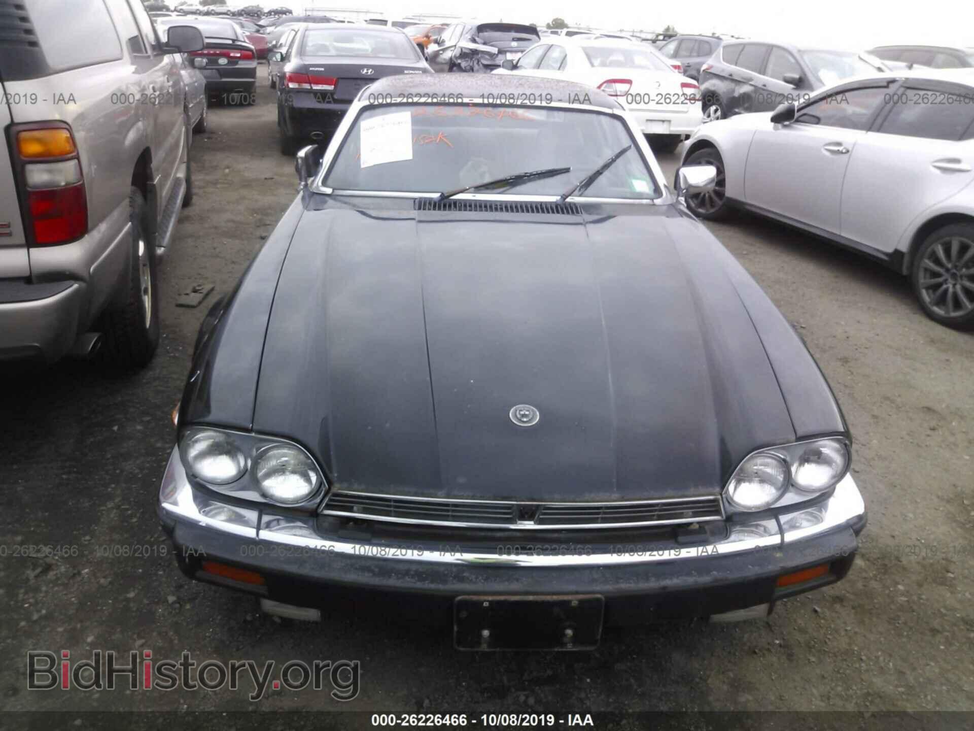1984 JAGUAR XJS - VIN: SAJNV5849EC116252 - Фото 6
