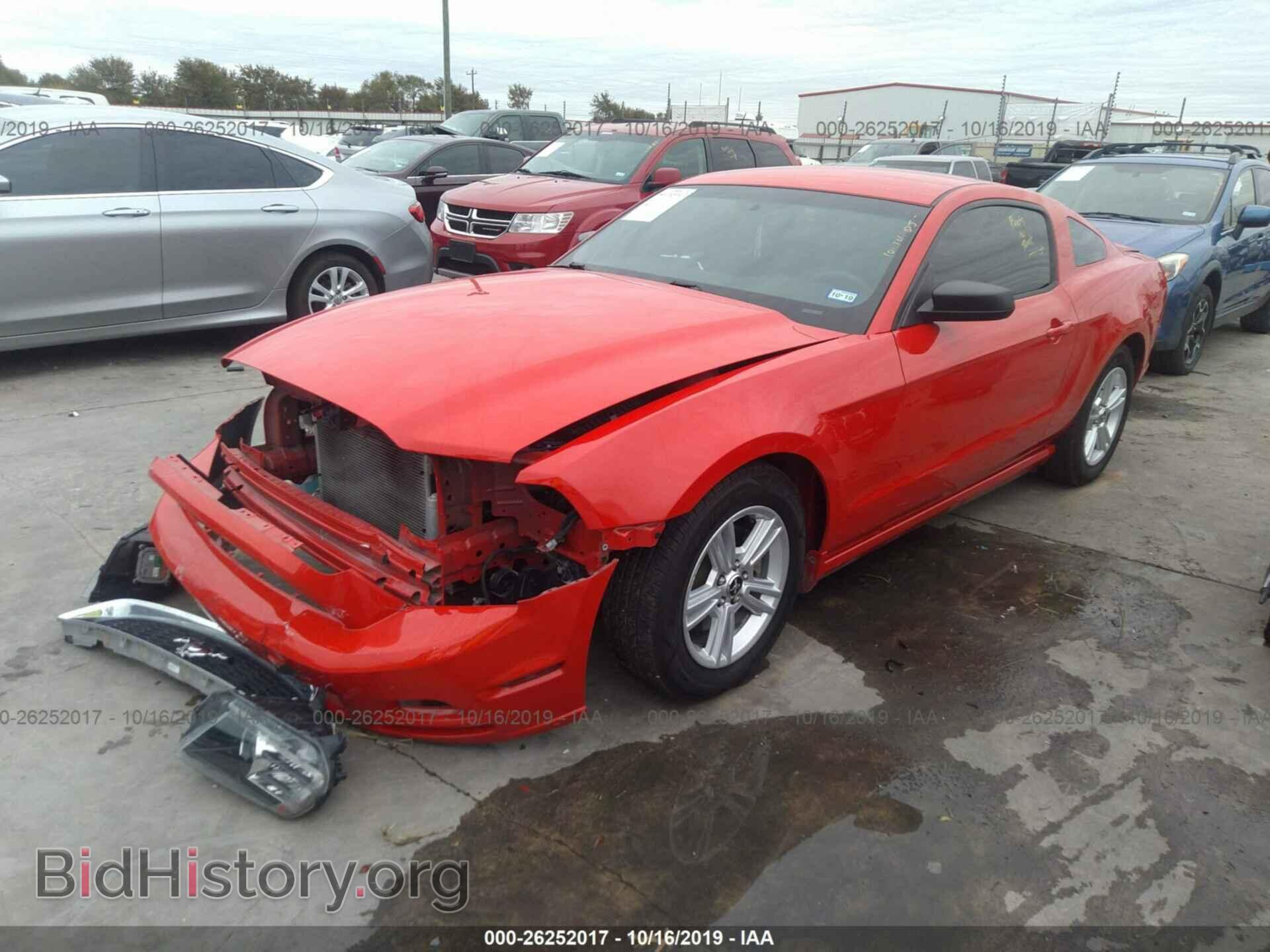 2014 FORD MUSTANG - VIN: 1ZVBP8AM0E5311181 - Фото 2