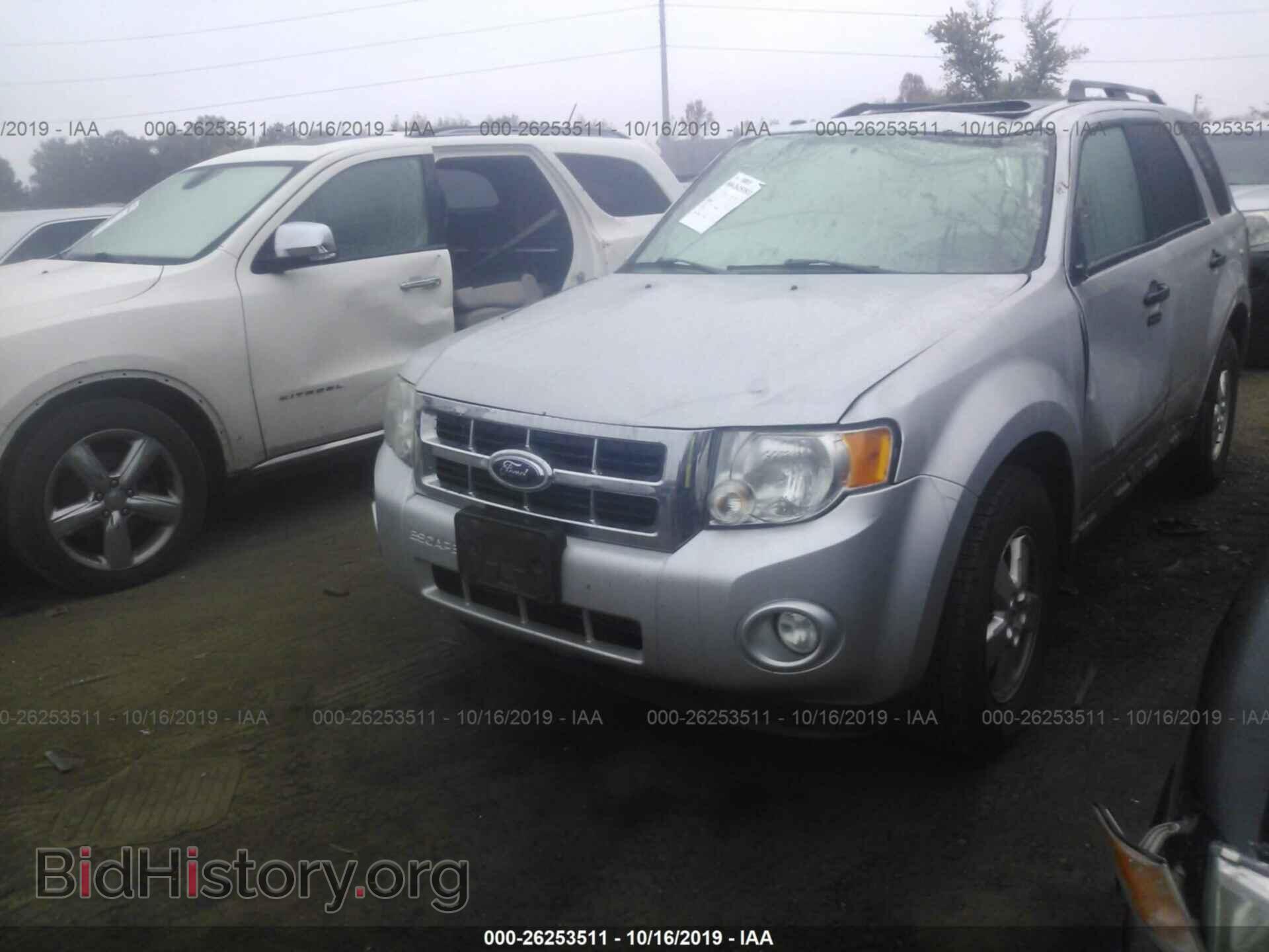 2009 FORD ESCAPE - VIN: 1FMCU03G29KD13459 - Фото 2