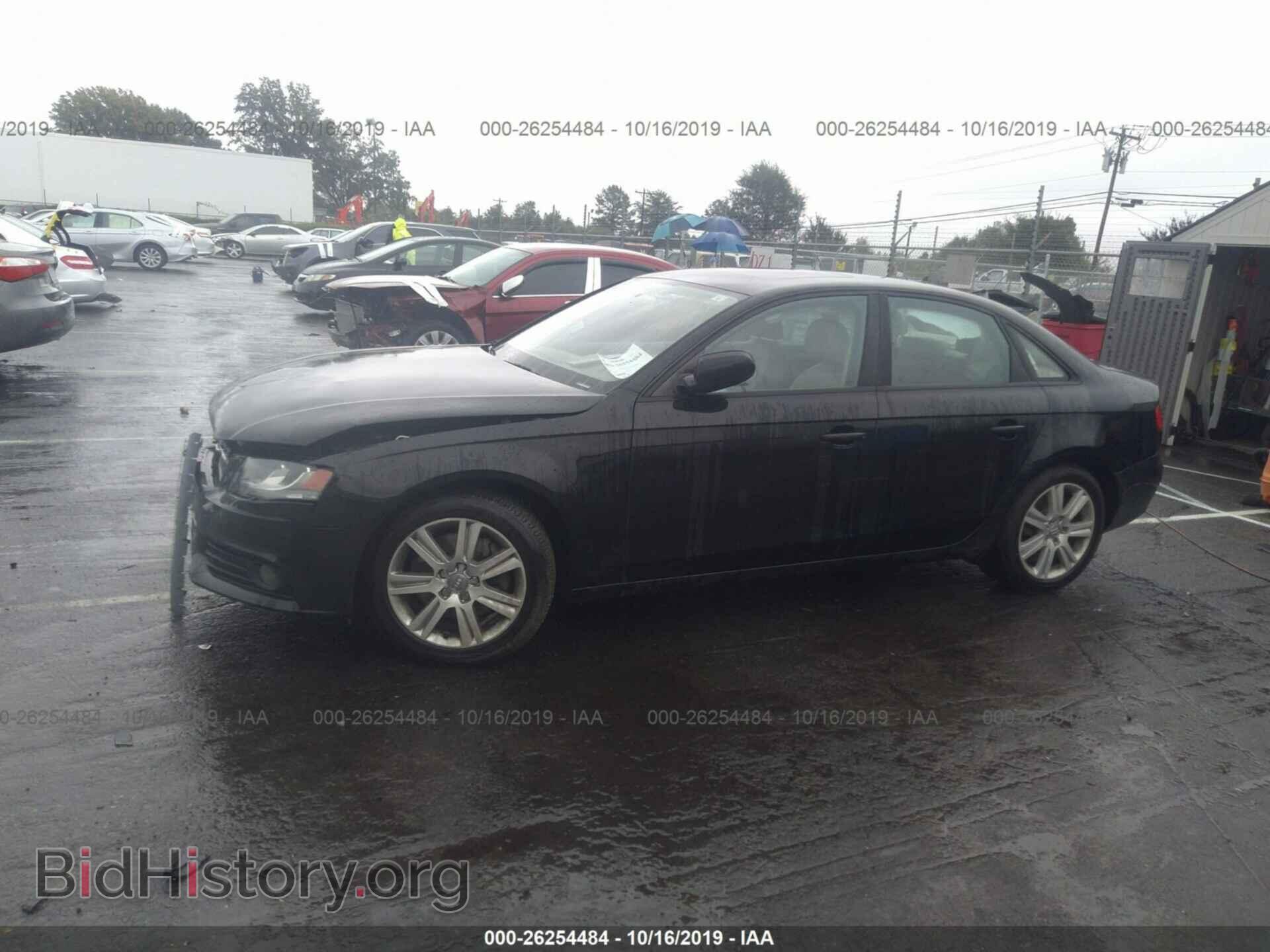 2011 AUDI A4 - VIN: WAUBFAFL7BN049732 - Фото 2