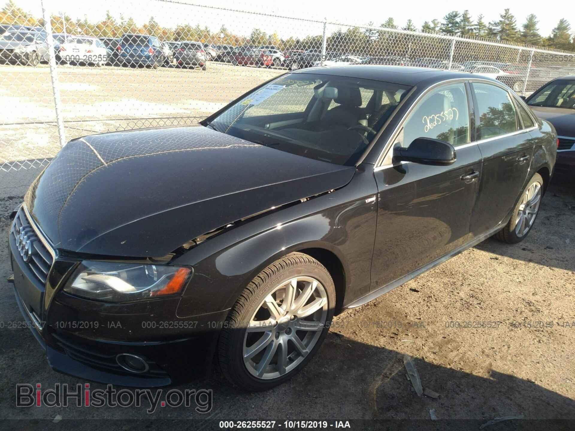 2012 AUDI A4 - VIN: WAUFFAFL8CA088646 - Фото 2