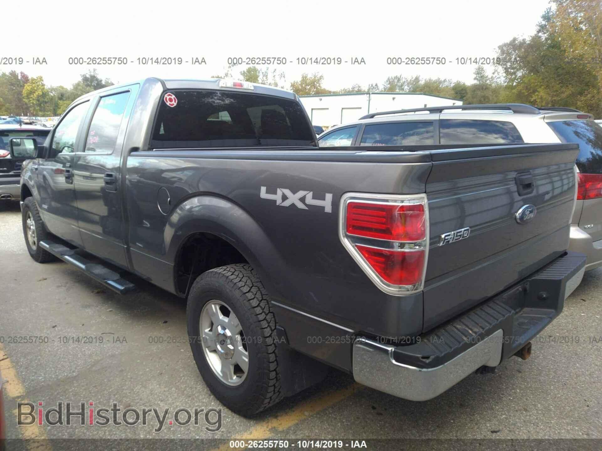 2013 FORD F150 - VIN: 1FTFW1ET9DFD71176 - Фото 3
