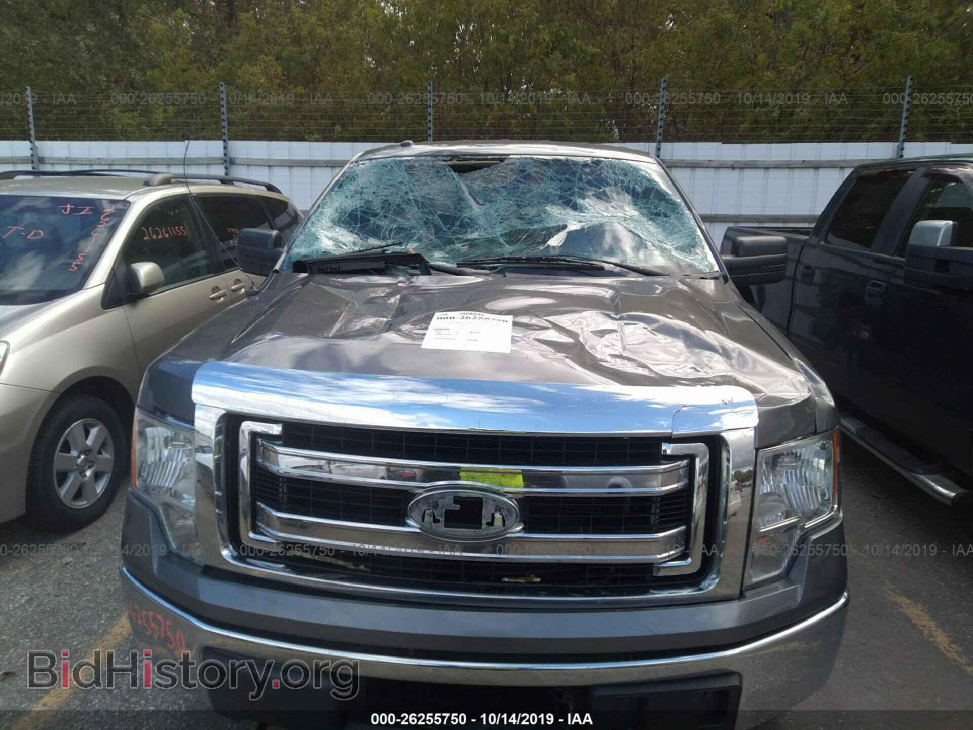 2013 FORD F150 - VIN: 1FTFW1ET9DFD71176 - Фото 6
