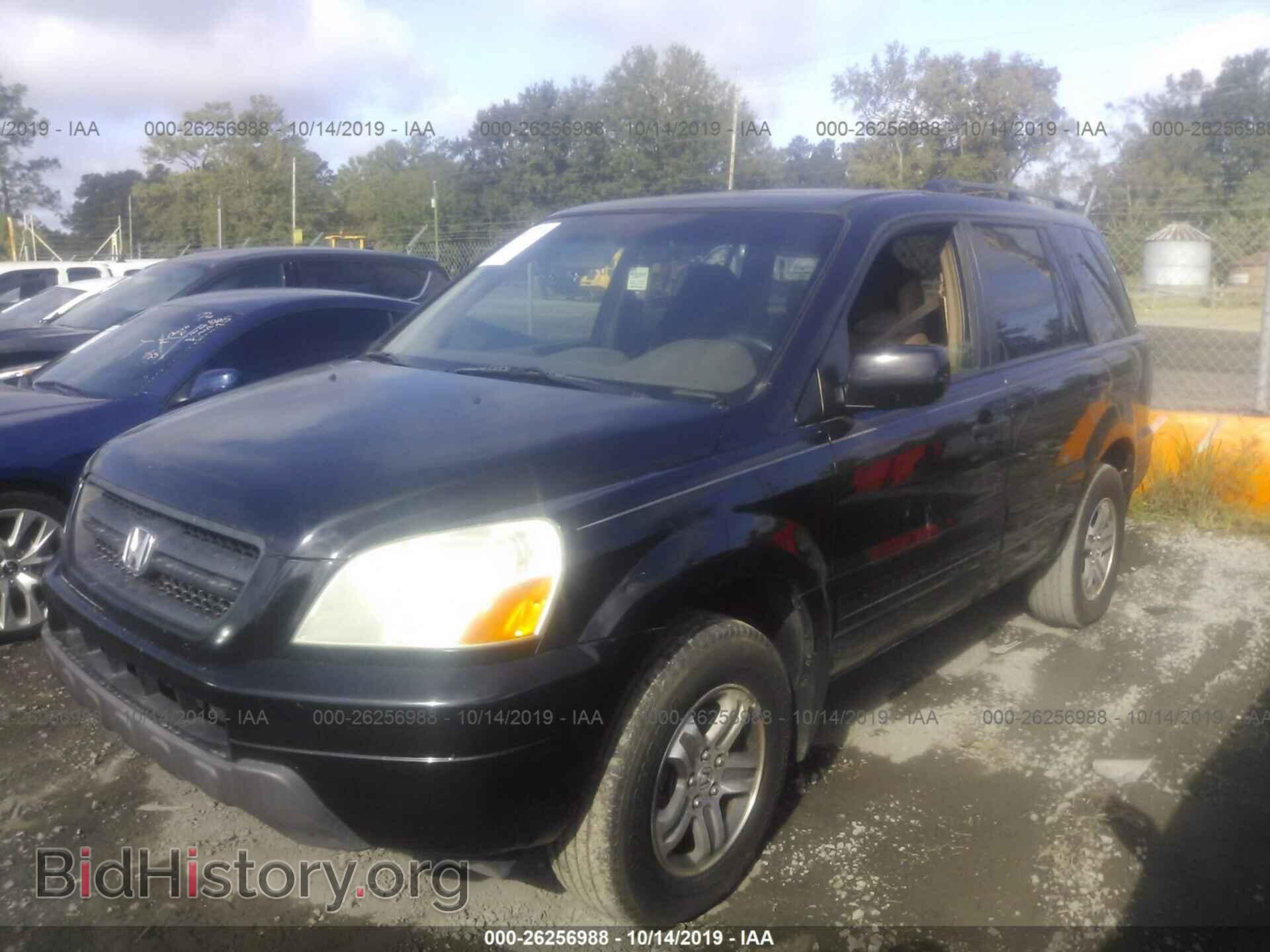 2005 HONDA PILOT - VIN: 5FNYF18655B014534 - Фото 2
