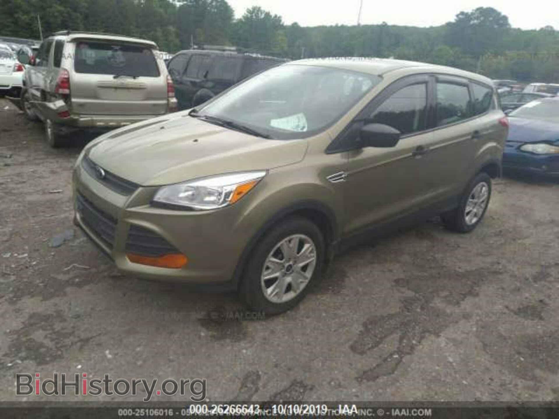 2013 FORD ESCAPE - VIN: 1FMCU0F70DUA98902 - Фото 2