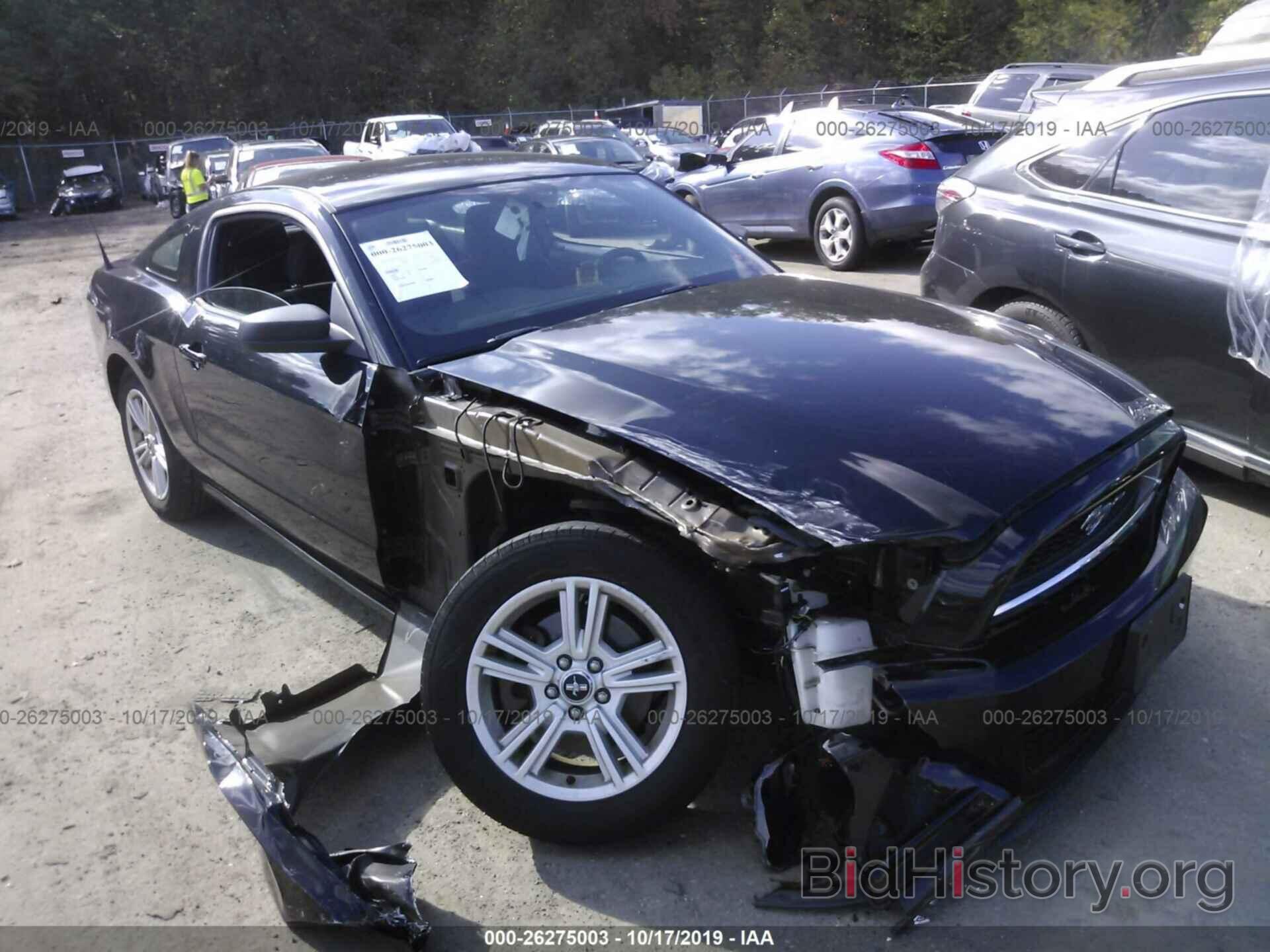 Photo 1ZVBP8AM3D5252495 - FORD MUSTANG 2013