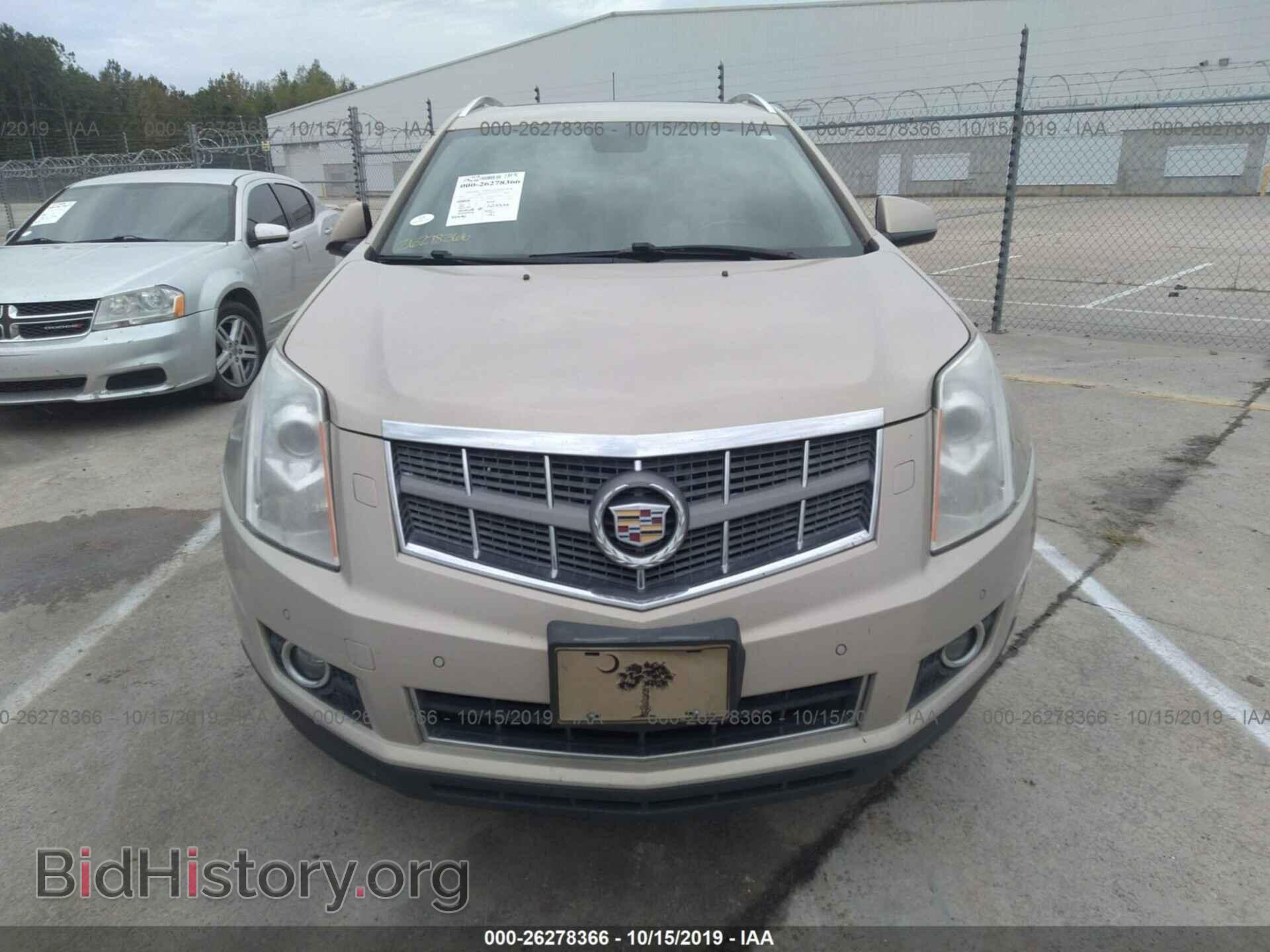 2011 CADILLAC SRX - VIN: 3GYFNBEY7BS525732 - Фото 6