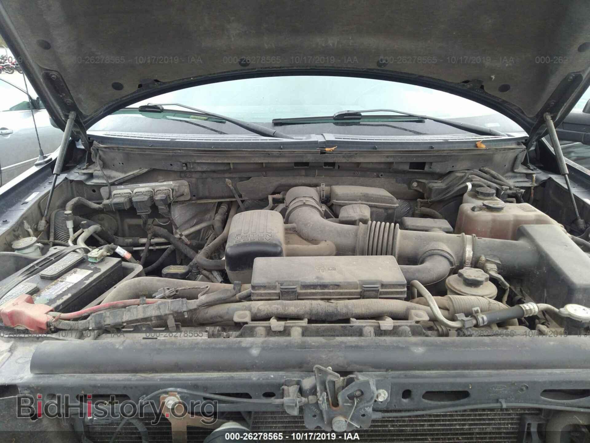 2010 FORD F150 - VIN: 1FTFW1EV5AFD69003 - Фото 10