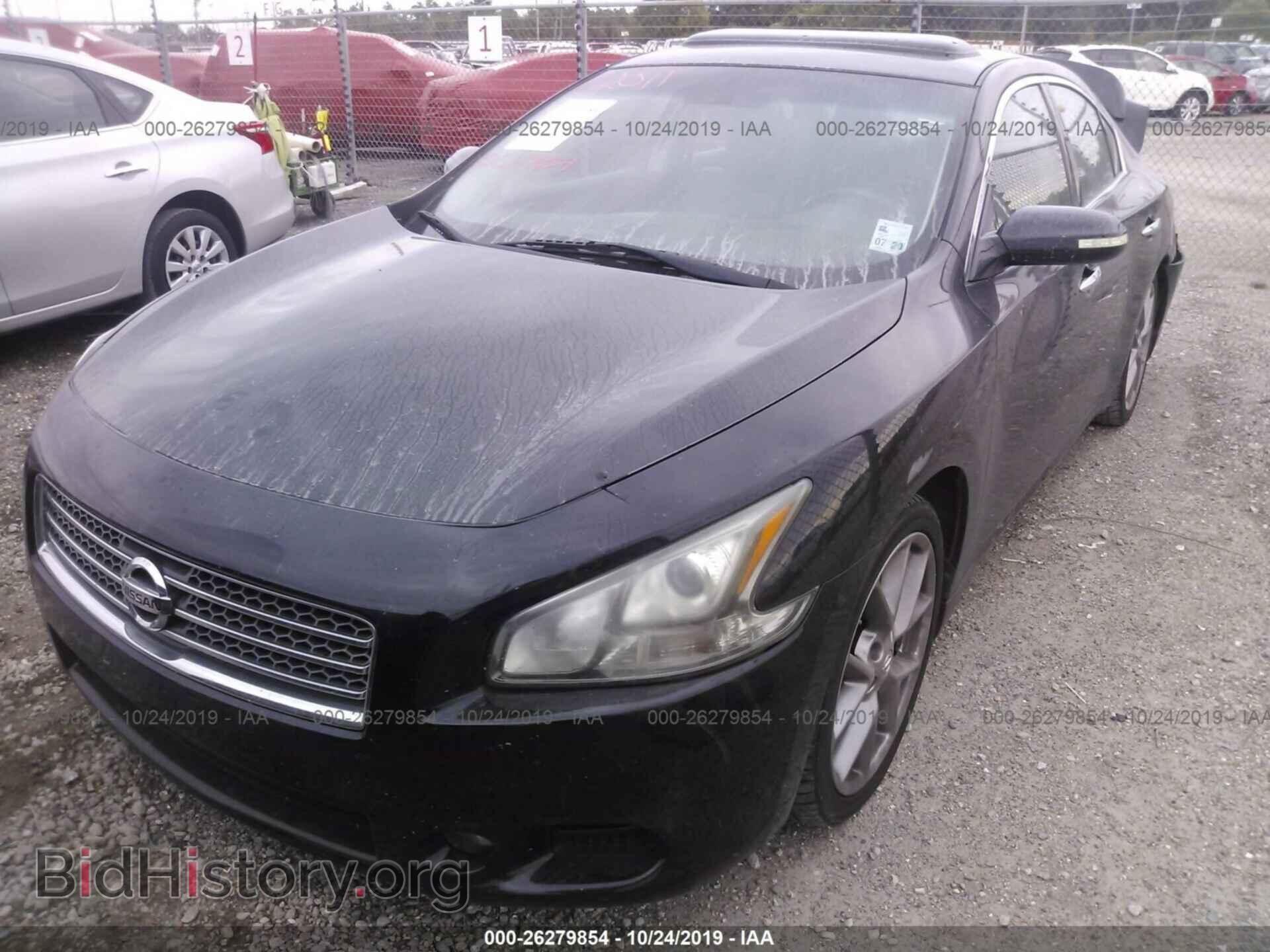 2011 Nissan Maxima - VIN: 1N4AA5APOBC854231 - Фото 2