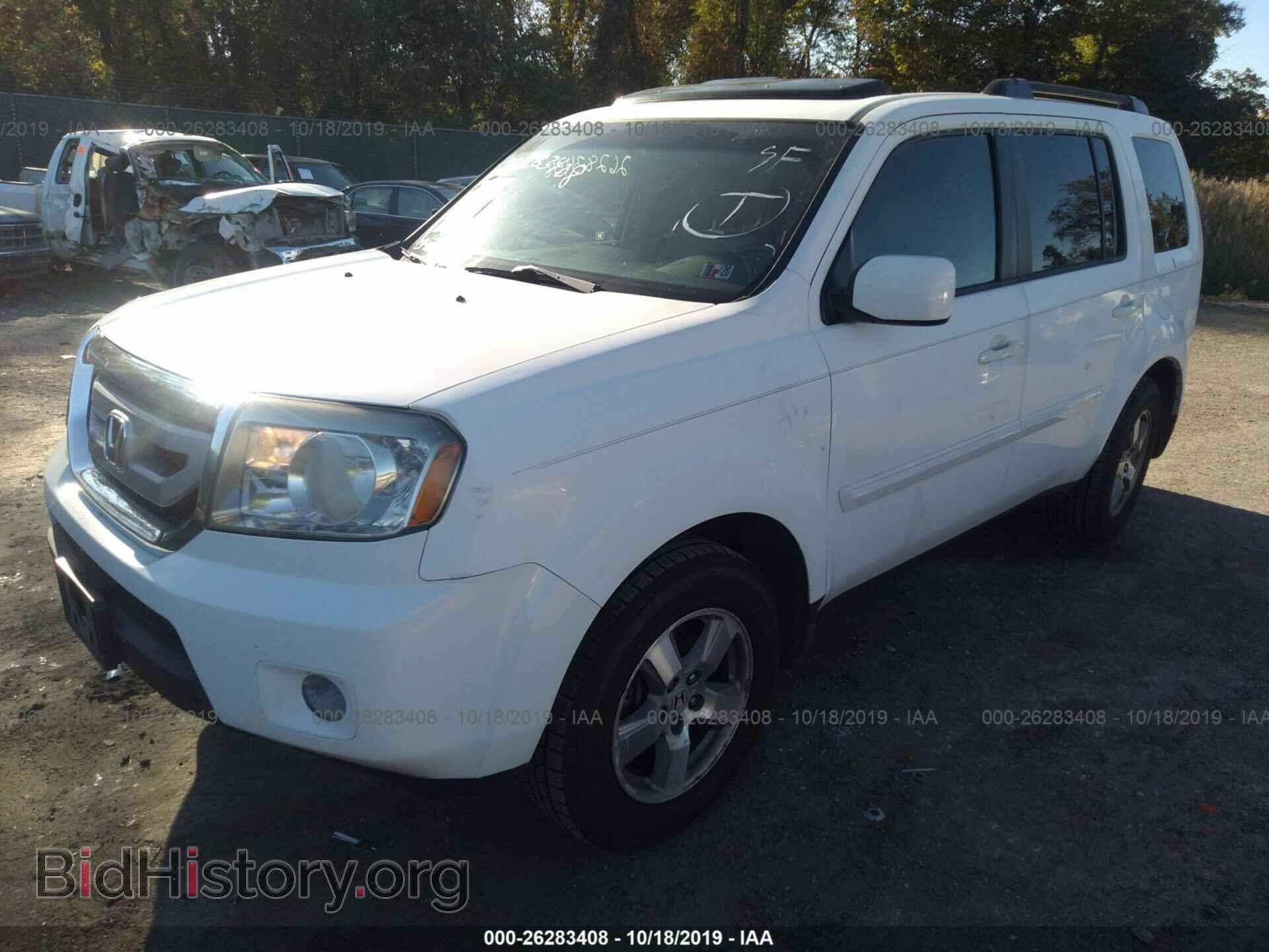 2010 HONDA PILOT - VIN: 5FNYF3H61AB012558 - Фото 2