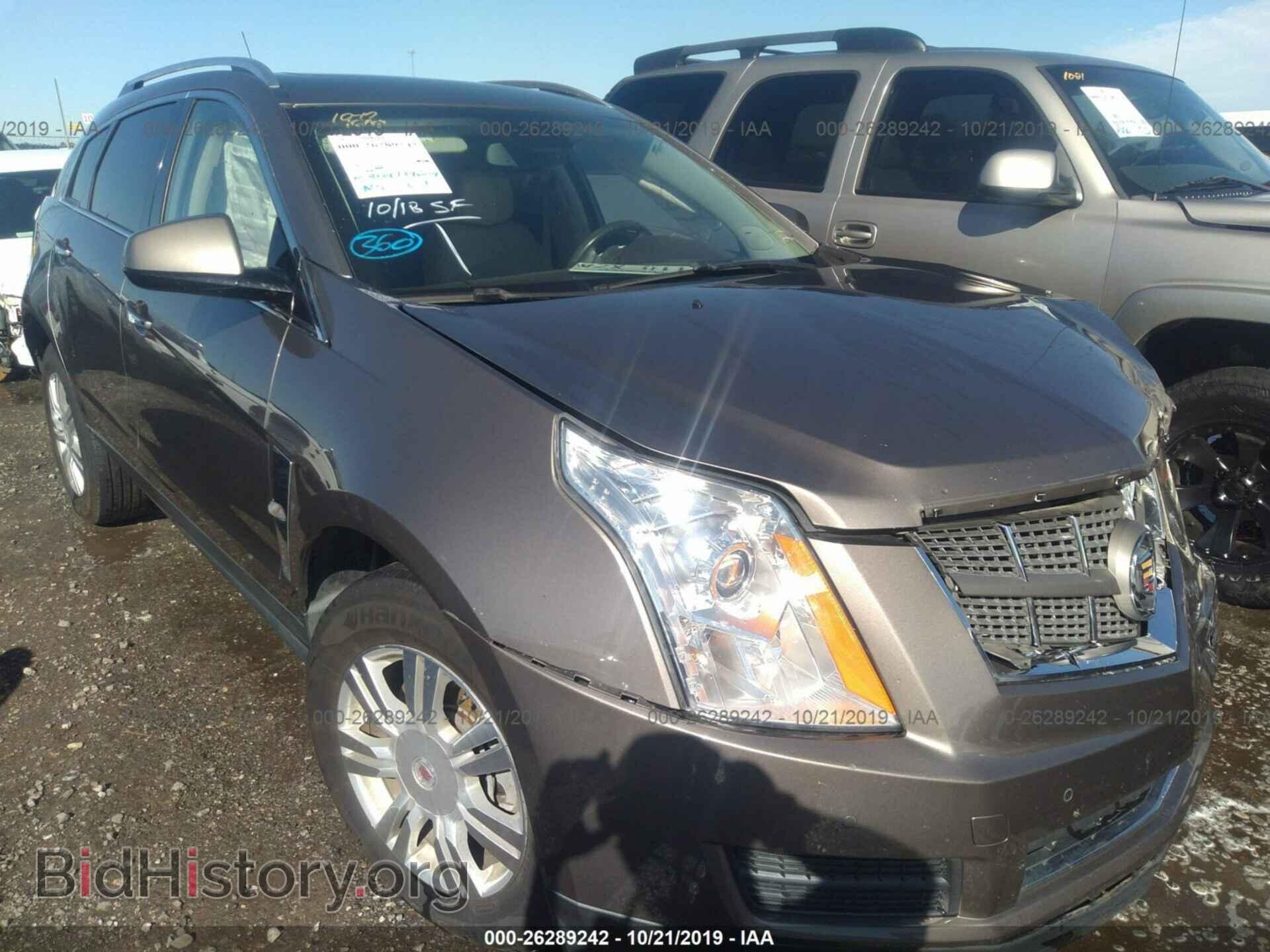 Фотография 3GYFNAEY7BS660767 - CADILLAC SRX 2011