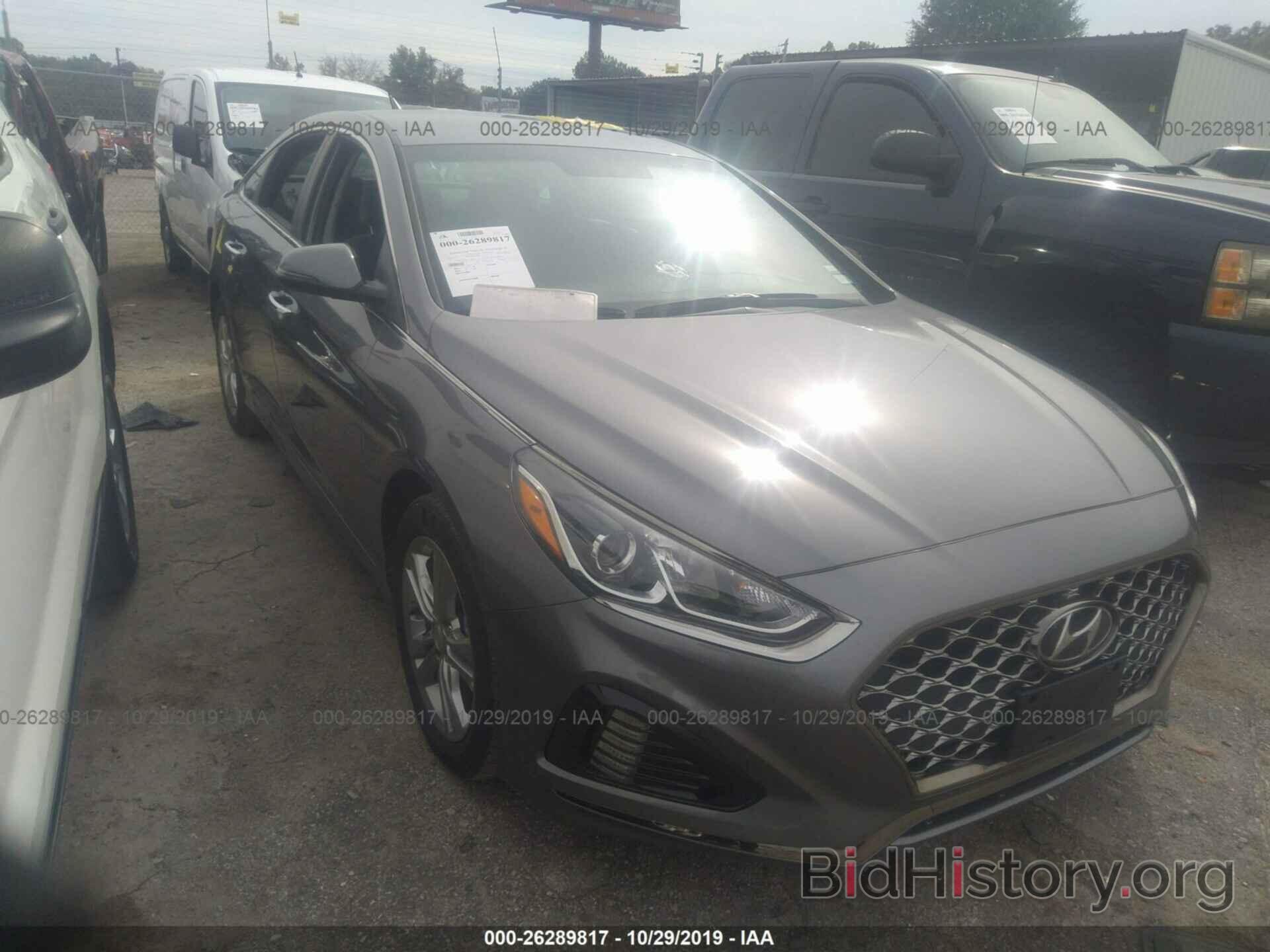 Photo 5NPE34AF2KH786977 - HYUNDAI SONATA 2019