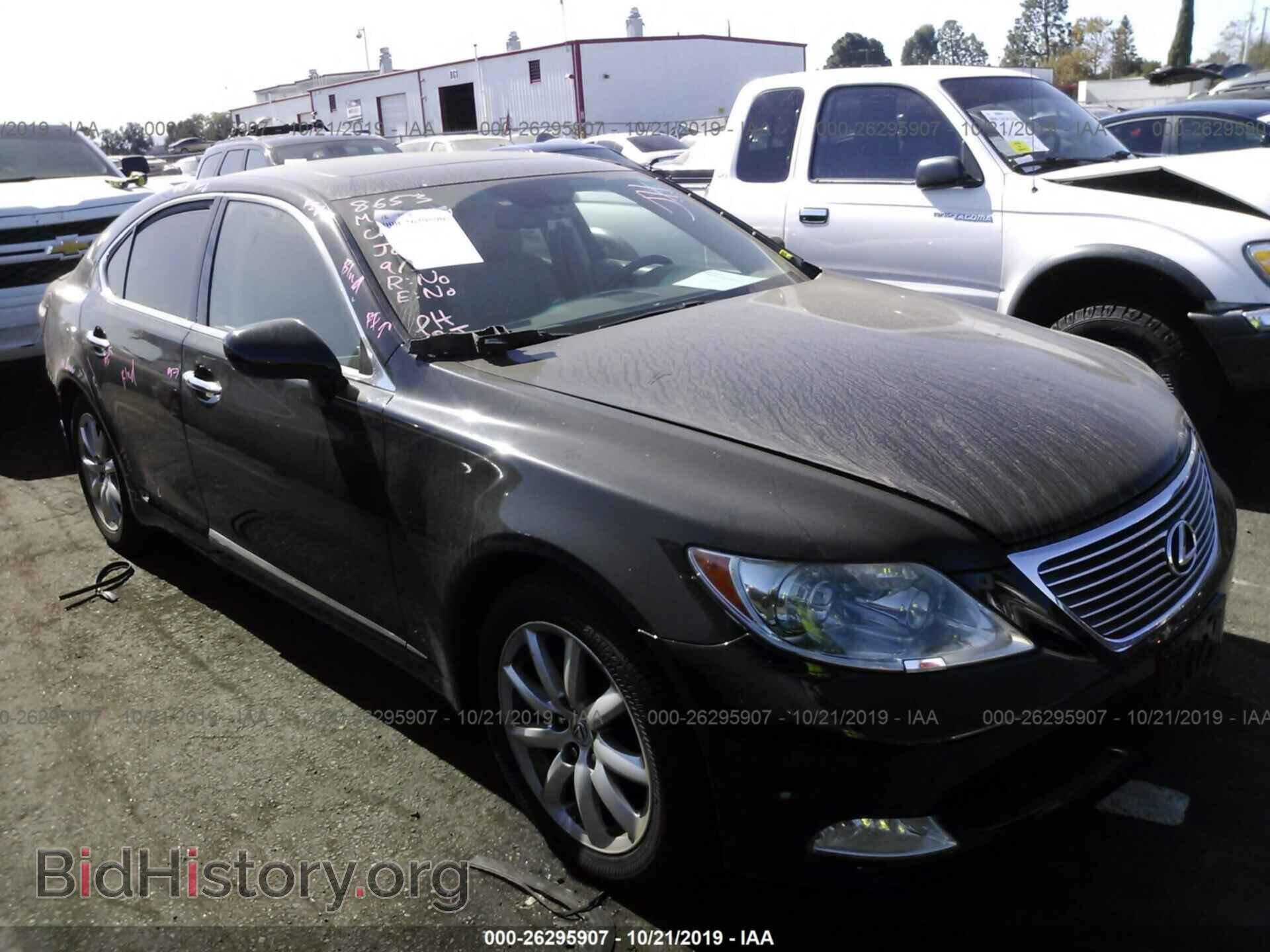 Фотография JTHBL46F795090264 - LEXUS LS 2009