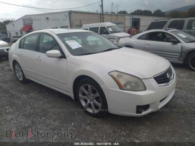 2008 Nissan MAXIMA SE/SL, white — VIN 1N4BA41E18C824323, IAAI