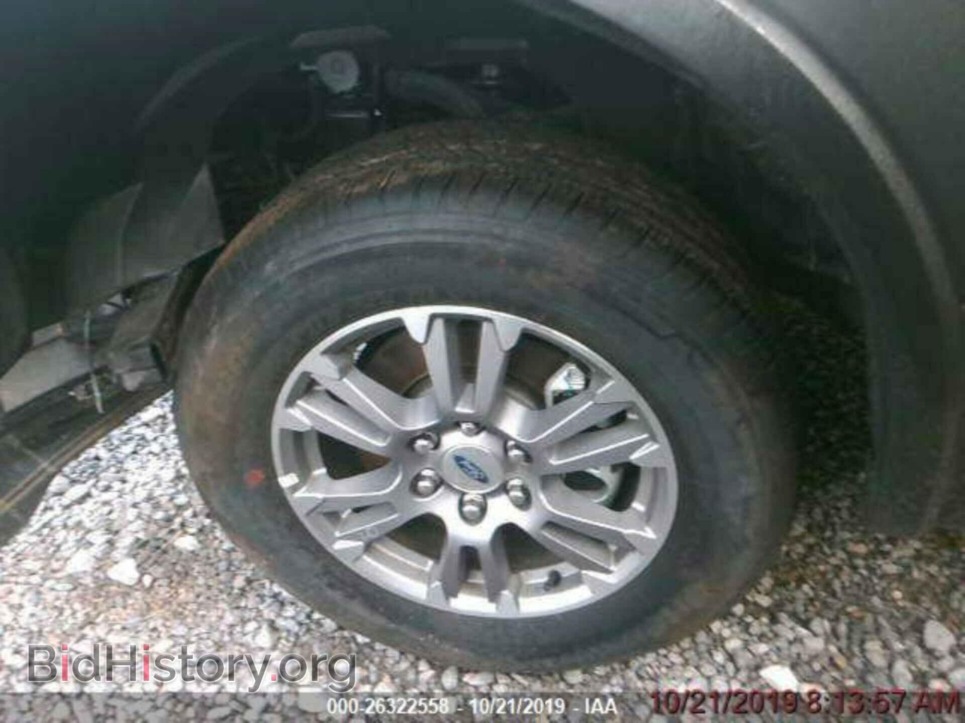2019 FORD F150 - VIN: 1FTEW1C59KKD48842 - Фото 4
