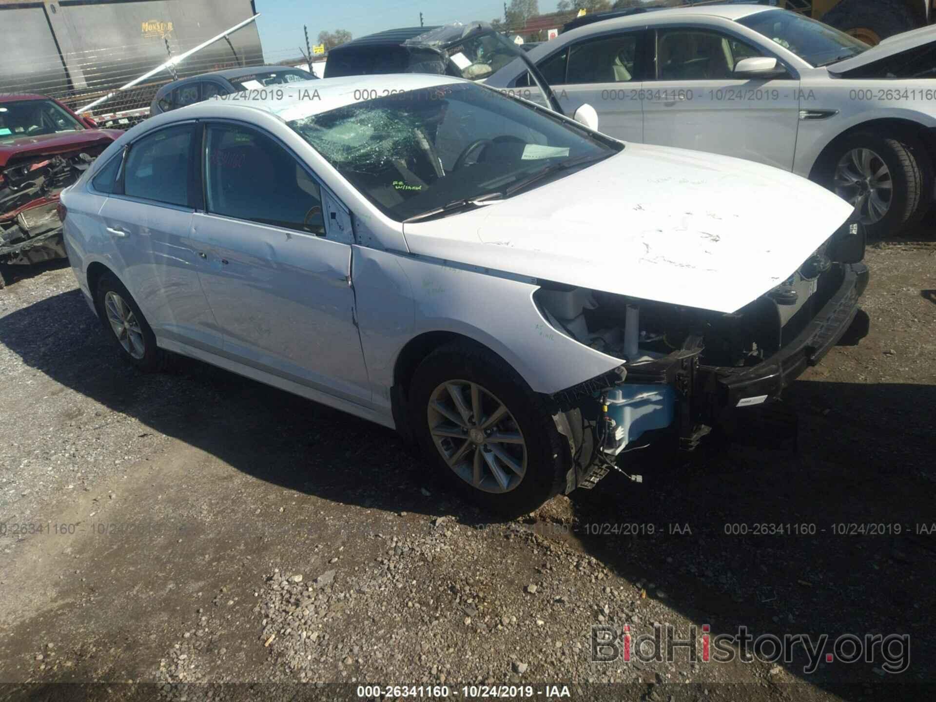 Photo 5NPE24AF8KH743313 - HYUNDAI SONATA 2019