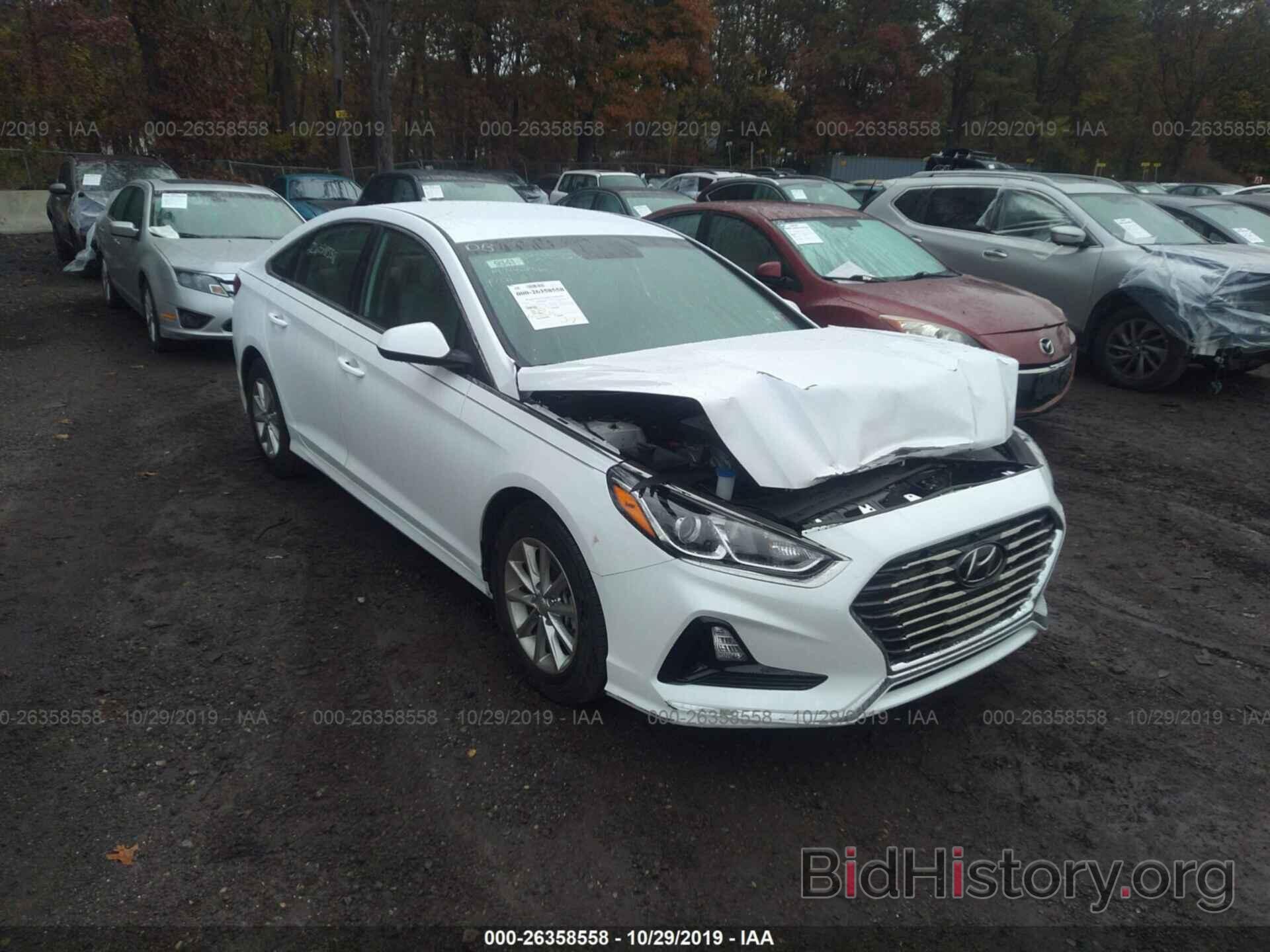 Photo 5NPE24AF2KH769244 - HYUNDAI SONATA 2019