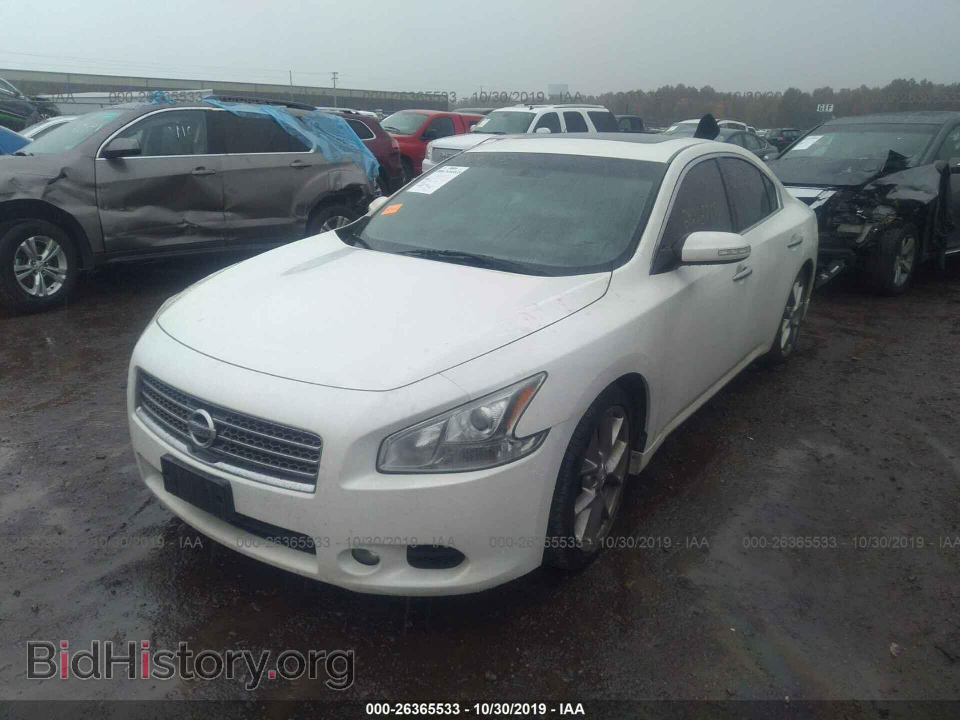2010 NISSAN MAXIMA - VIN: 1N4AA5AP2AC842340 - Фото 2