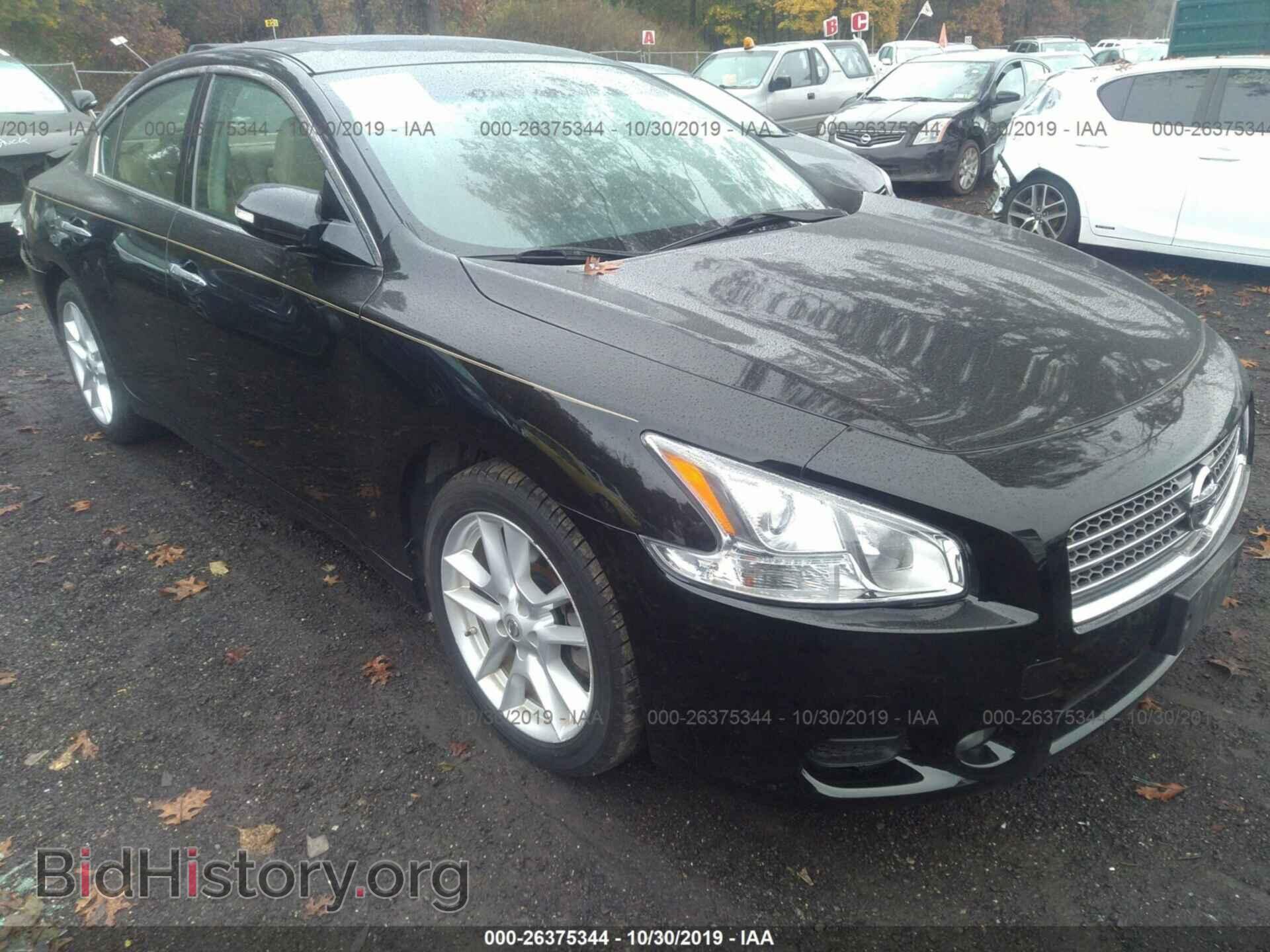 Photo 1N4AA5AP1AC809233 - NISSAN MAXIMA 2010