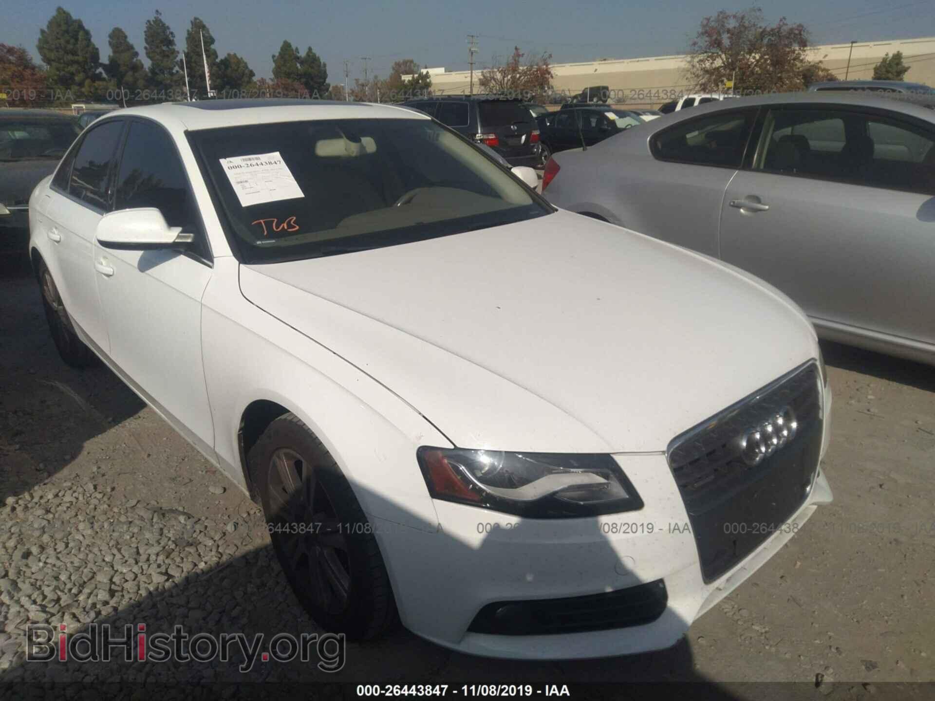 Фотография WAUFFAFL2BN027770 - AUDI A4 2011