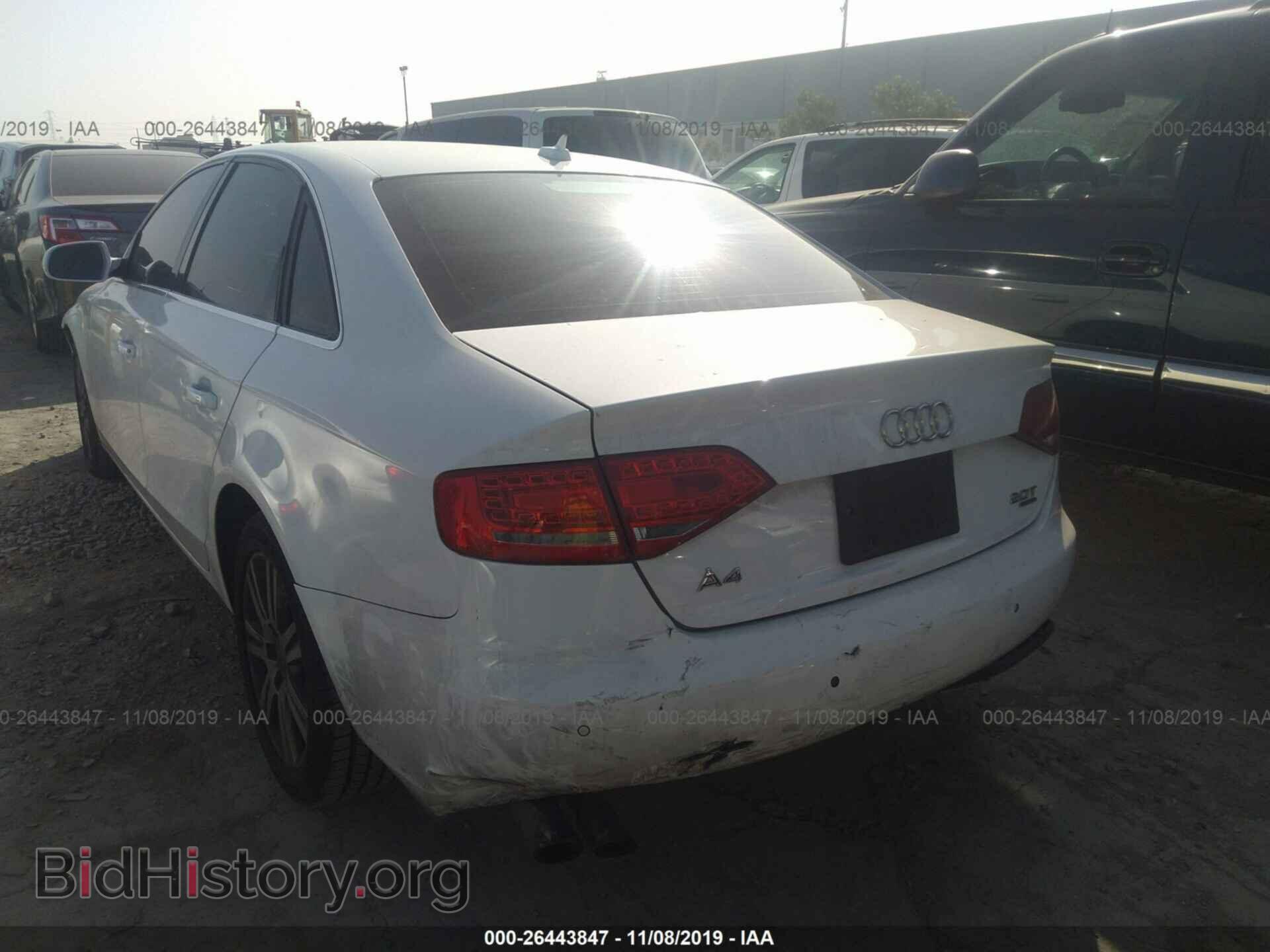 2011 AUDI A4 - VIN: WAUFFAFL2BN027770 - Фото 3