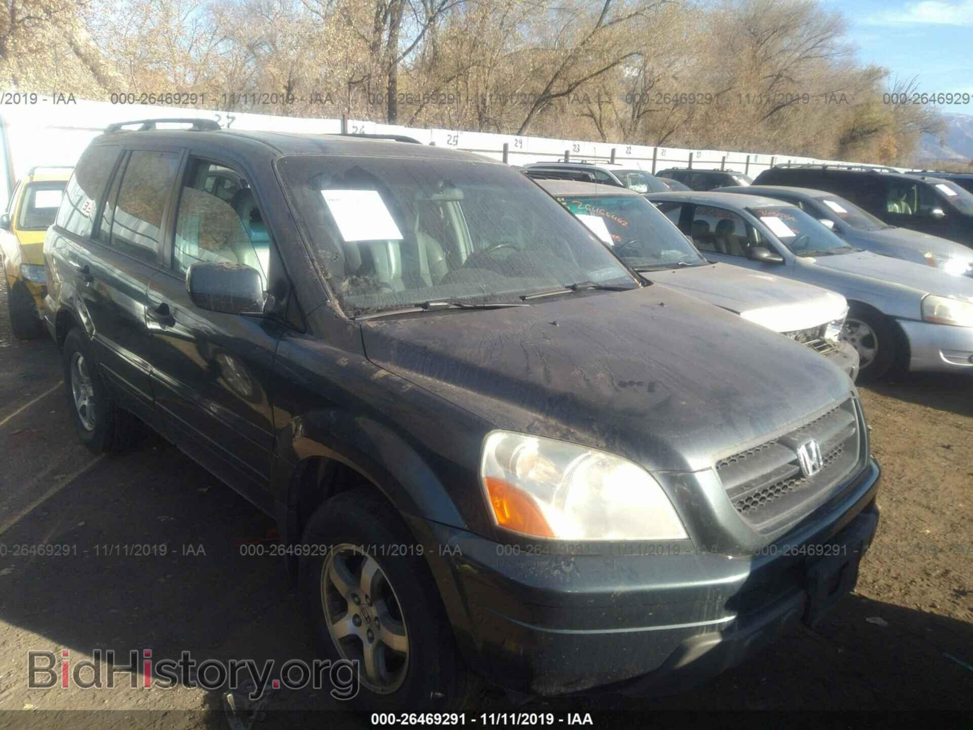 Photo 5FNYF18565B051843 - HONDA PILOT 2005