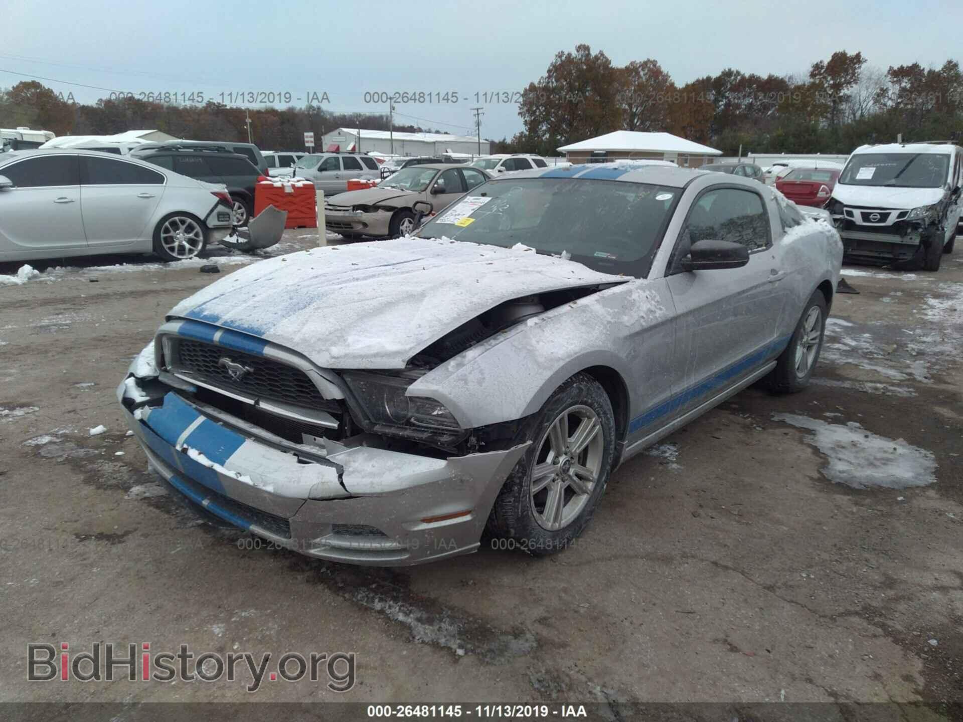 2013 FORD MUSTANG - VIN: 1ZVBP8AM2D5278344 - Фото 2