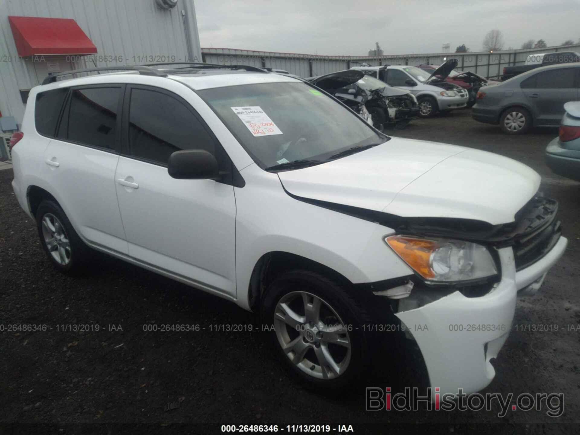 Photo 2T3BF4DVXBW094035 - TOYOTA RAV4 2011