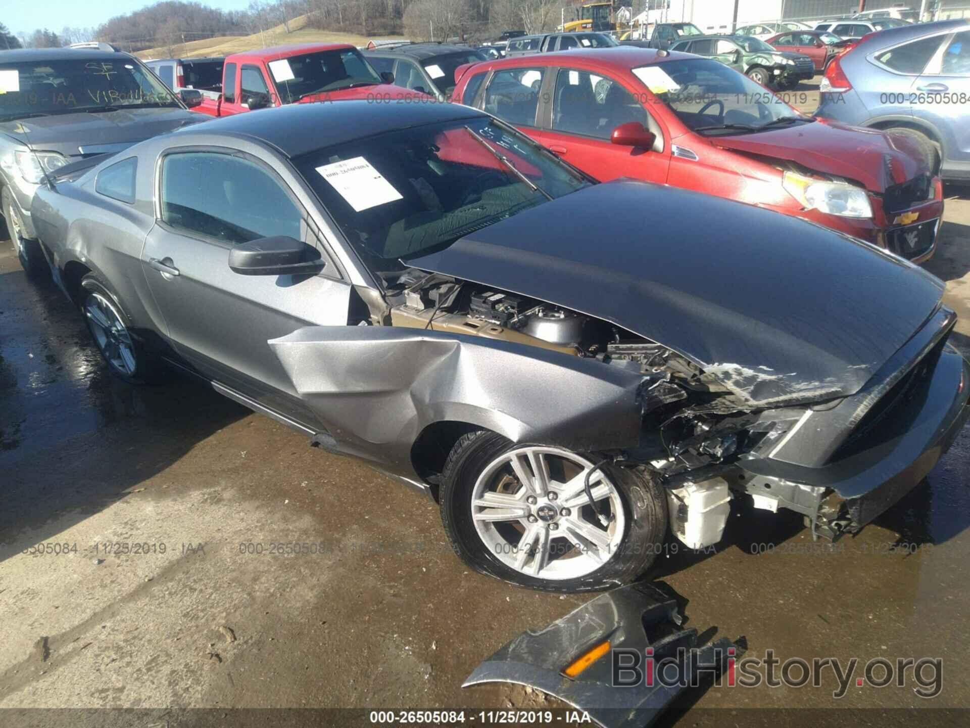 Photo 1ZVBP8AM2D5249104 - FORD MUSTANG 2013