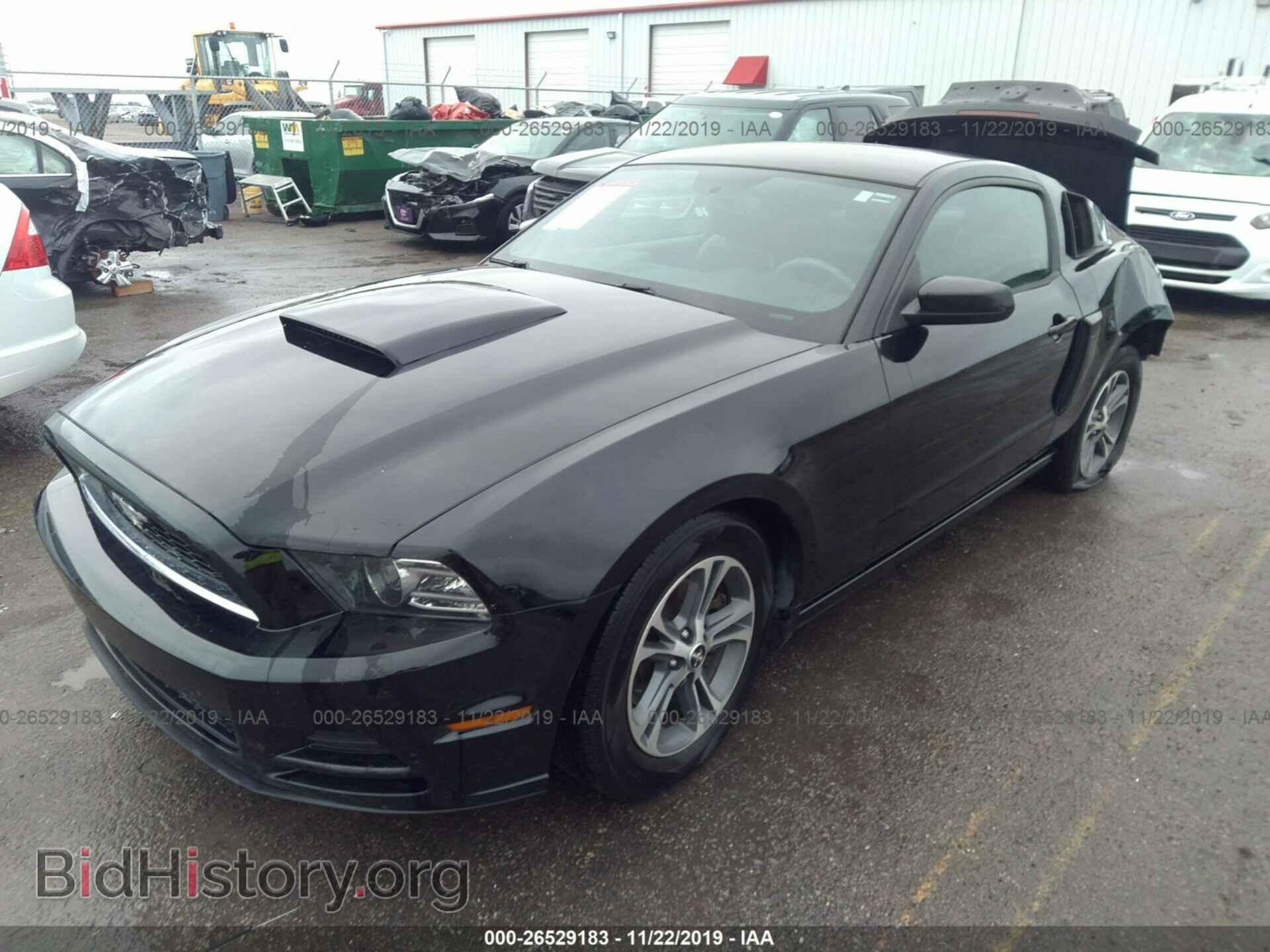 2014 FORD MUSTANG - VIN: 1ZVBP8AM4E5281585 - Фото 2