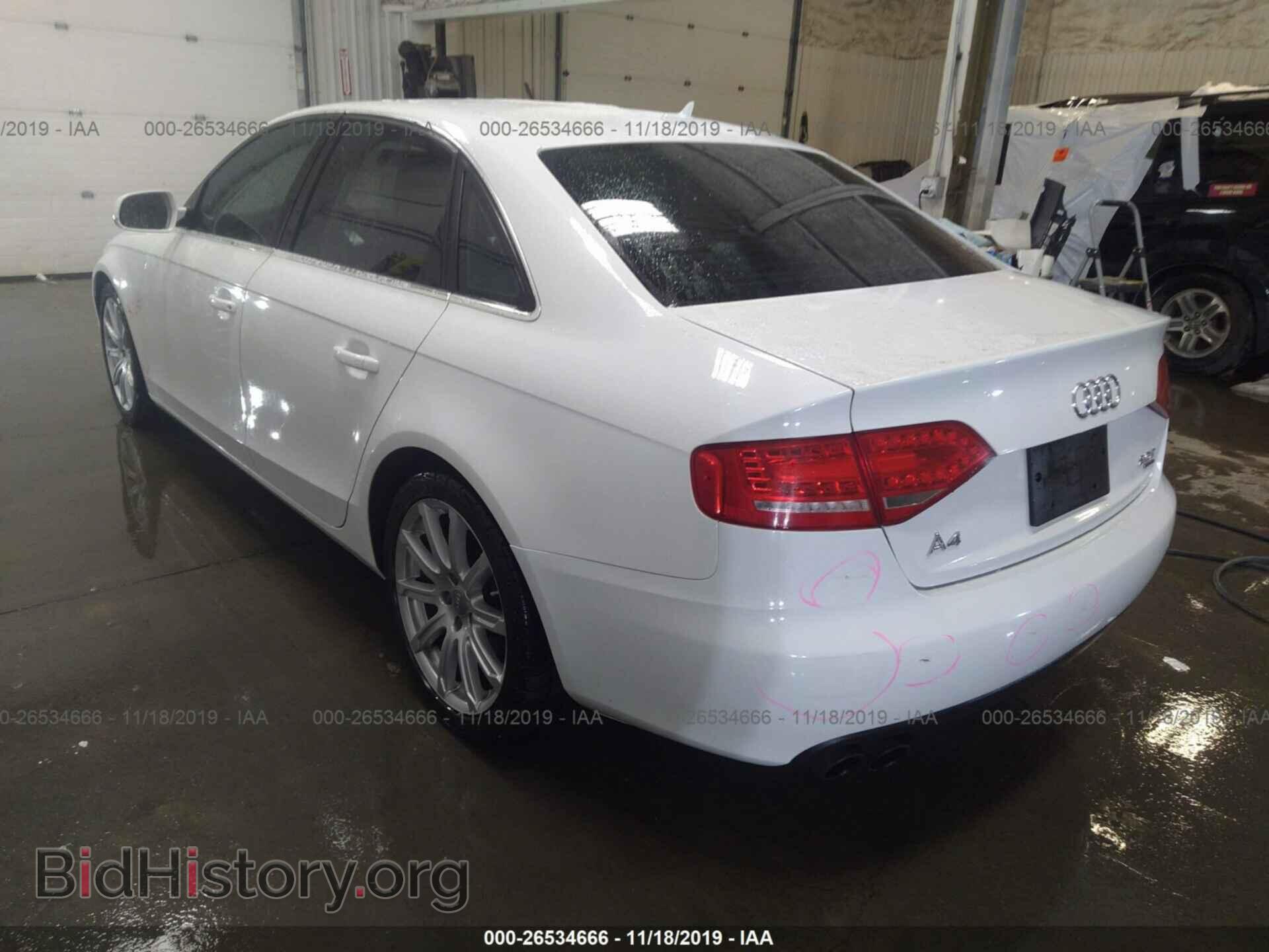 2010 AUDI A4 - VIN: WAUFFAFL6AN057384 - Фото 3