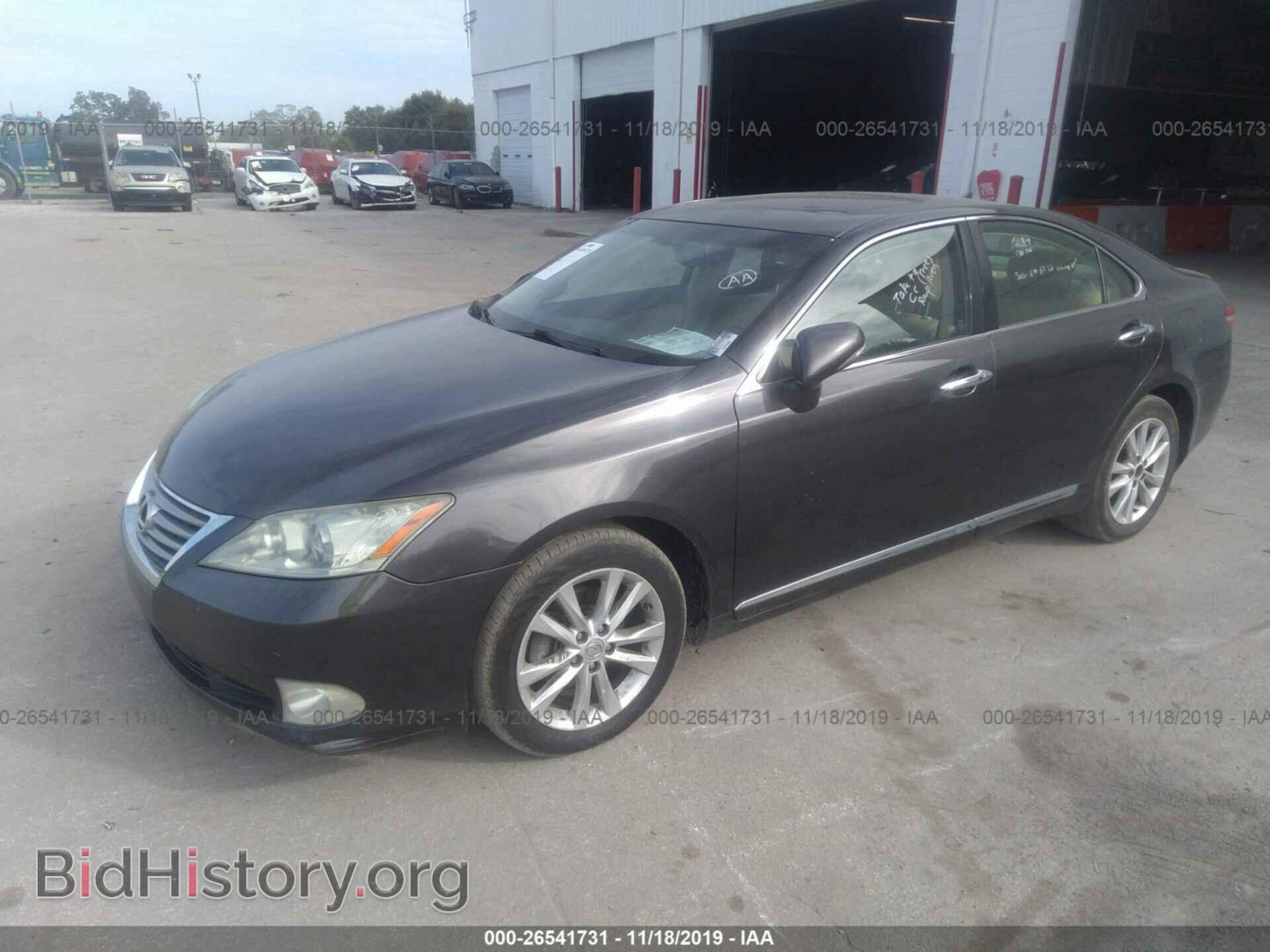 2010 LEXUS ES 350 - VIN: JTHBK1EG8A2403985 - Фото 2