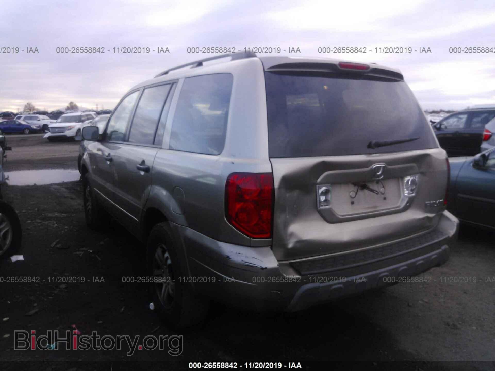 2005 HONDA PILOT - VIN: 5FNYF18575B049826 - Фото 3