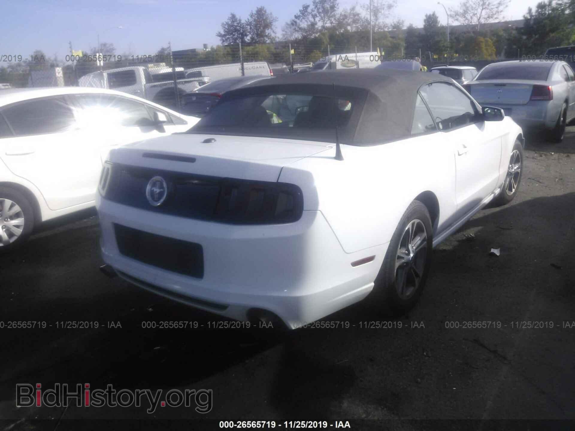 2014 FORD MUSTANG - VIN: 1ZVBP8EM4E5243929 - Photo 4