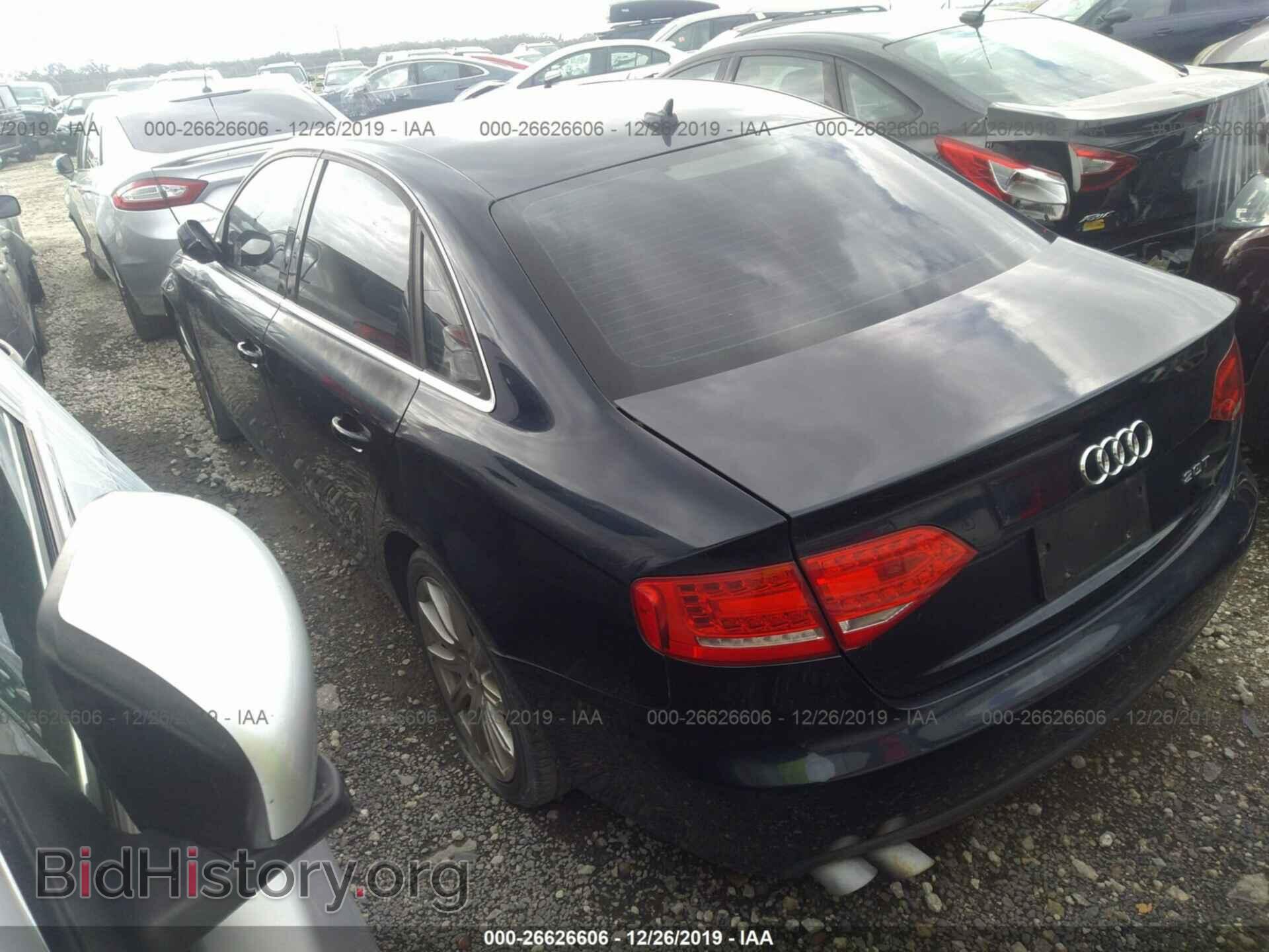 2010 AUDI A4 - VIN: WAUEFAFL2AN046264 - Фото 3