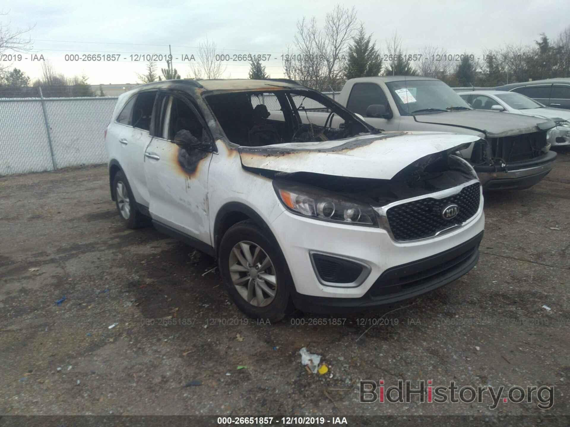 Photo 5XYPG4A34HG258568 - KIA SORENTO 2017