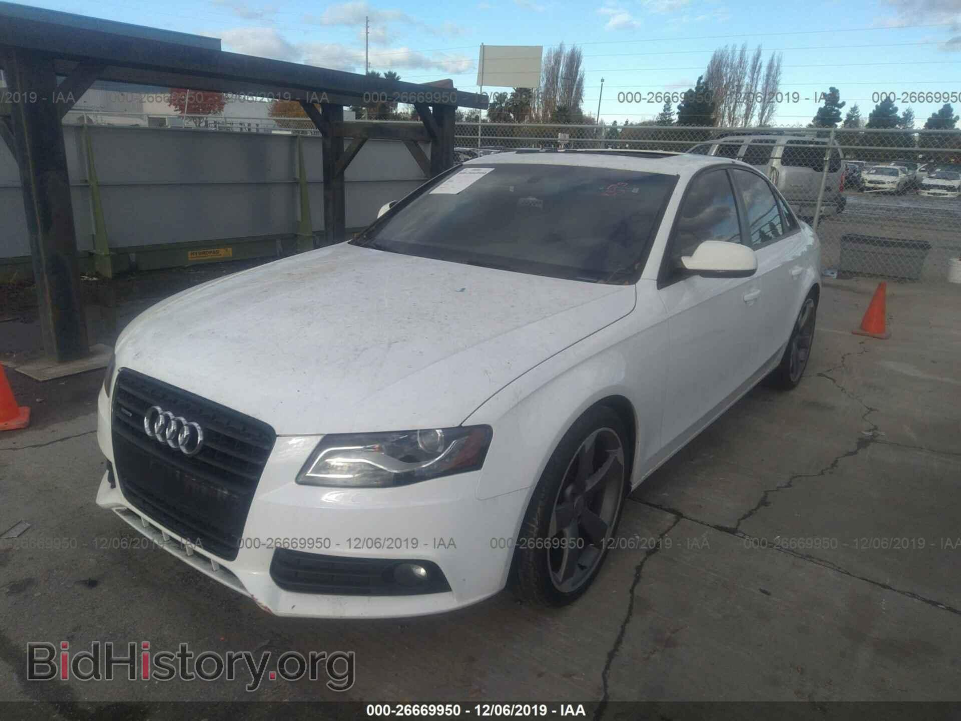 2011 AUDI A4 - VIN: WAUFFAFL5BN037726 - Фото 2