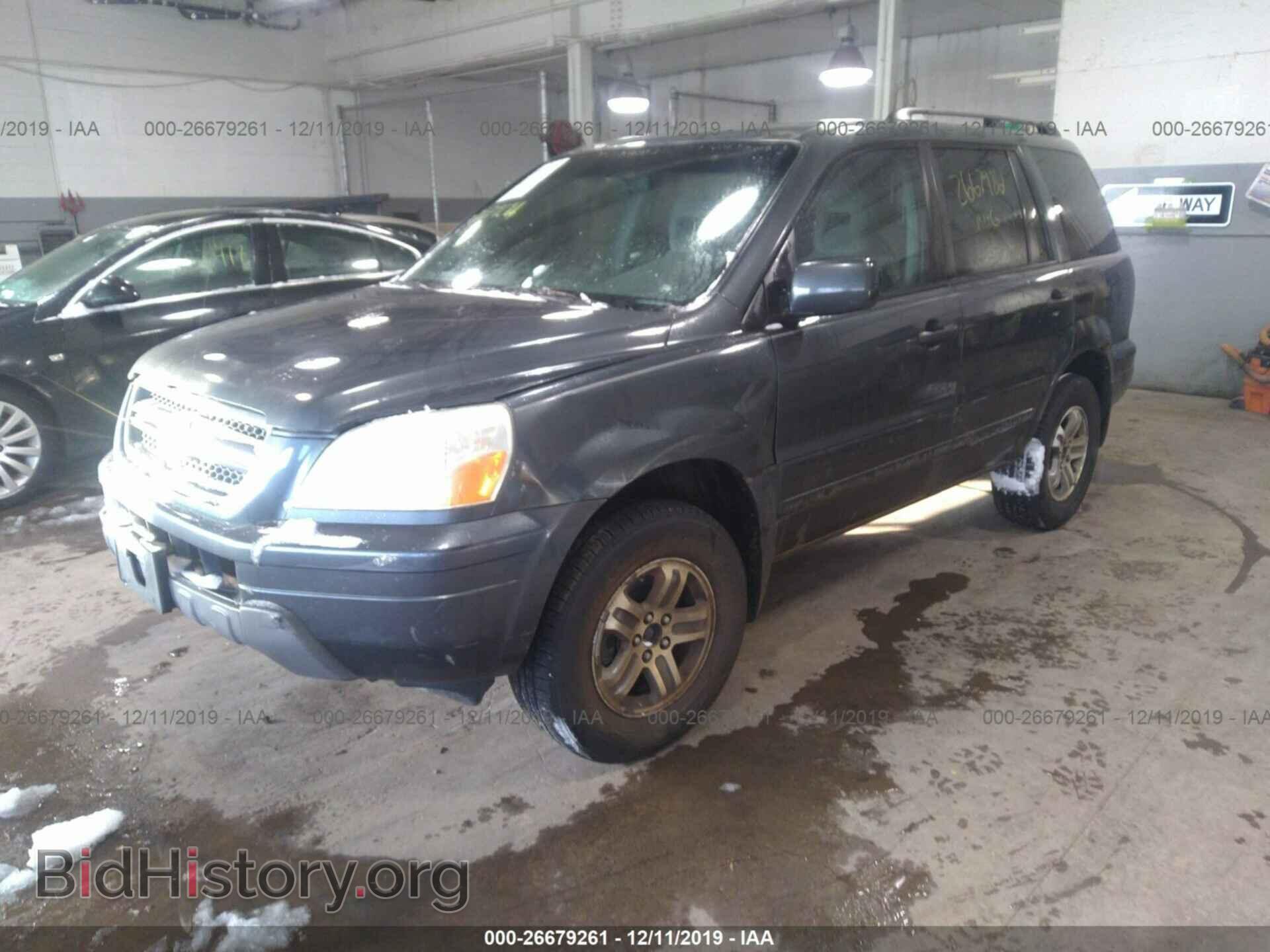2005 HONDA PILOT - VIN: 2HKYF18495H509674 - Фото 2