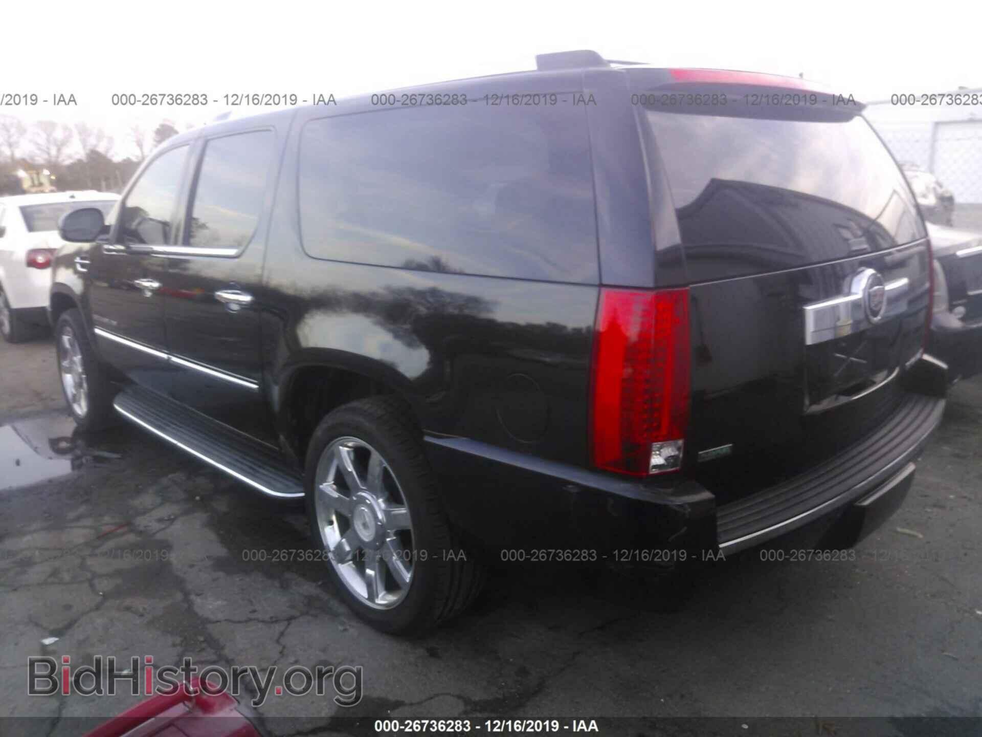 2011 CADILLAC ESCALADE - VIN: 1GYS4HEF0BR319528 - Фото 3