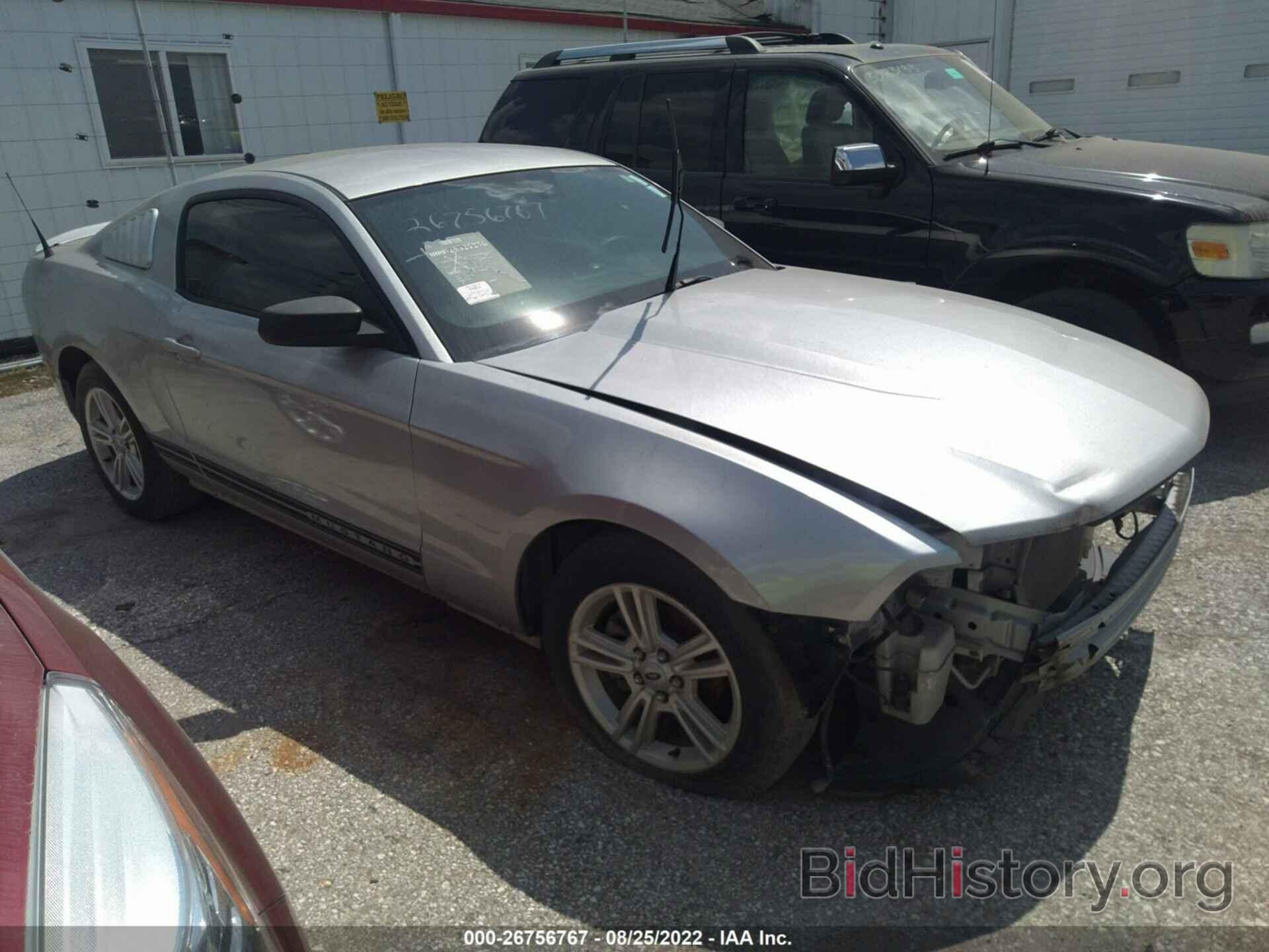 Photo 1ZVBP8AN3A5119398 - FORD MUSTANG 2010