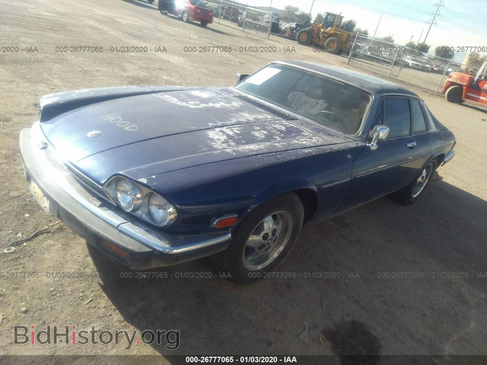 1982 JAGUAR XJS - VIN: SAJNV584XCC107184 - Фото 2