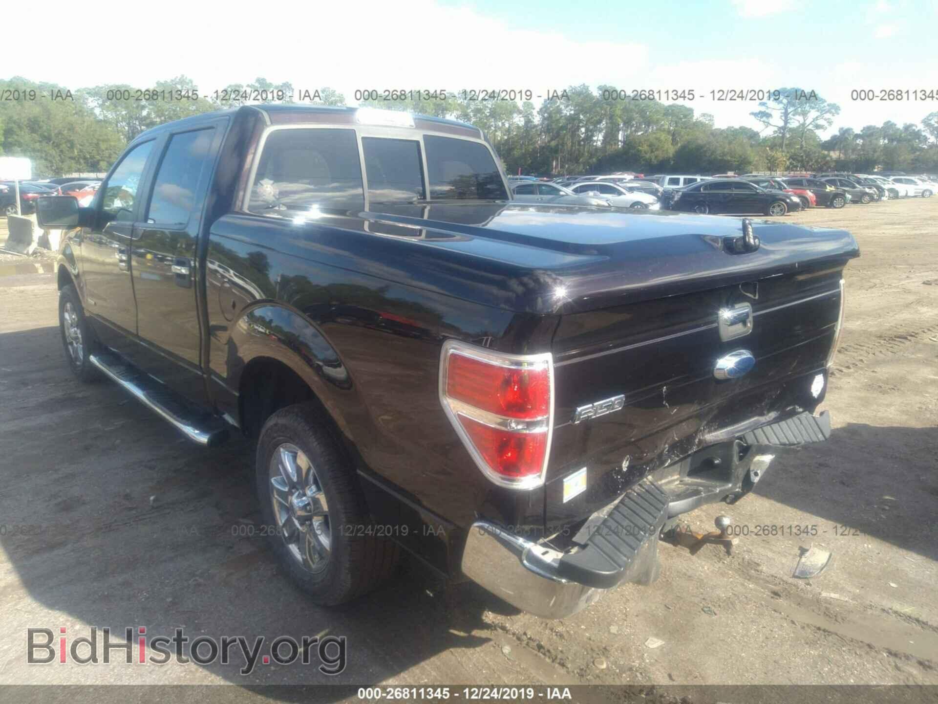 2013 FORD F150 - VIN: 1FTFW1CT5DFA36919 - Фото 3