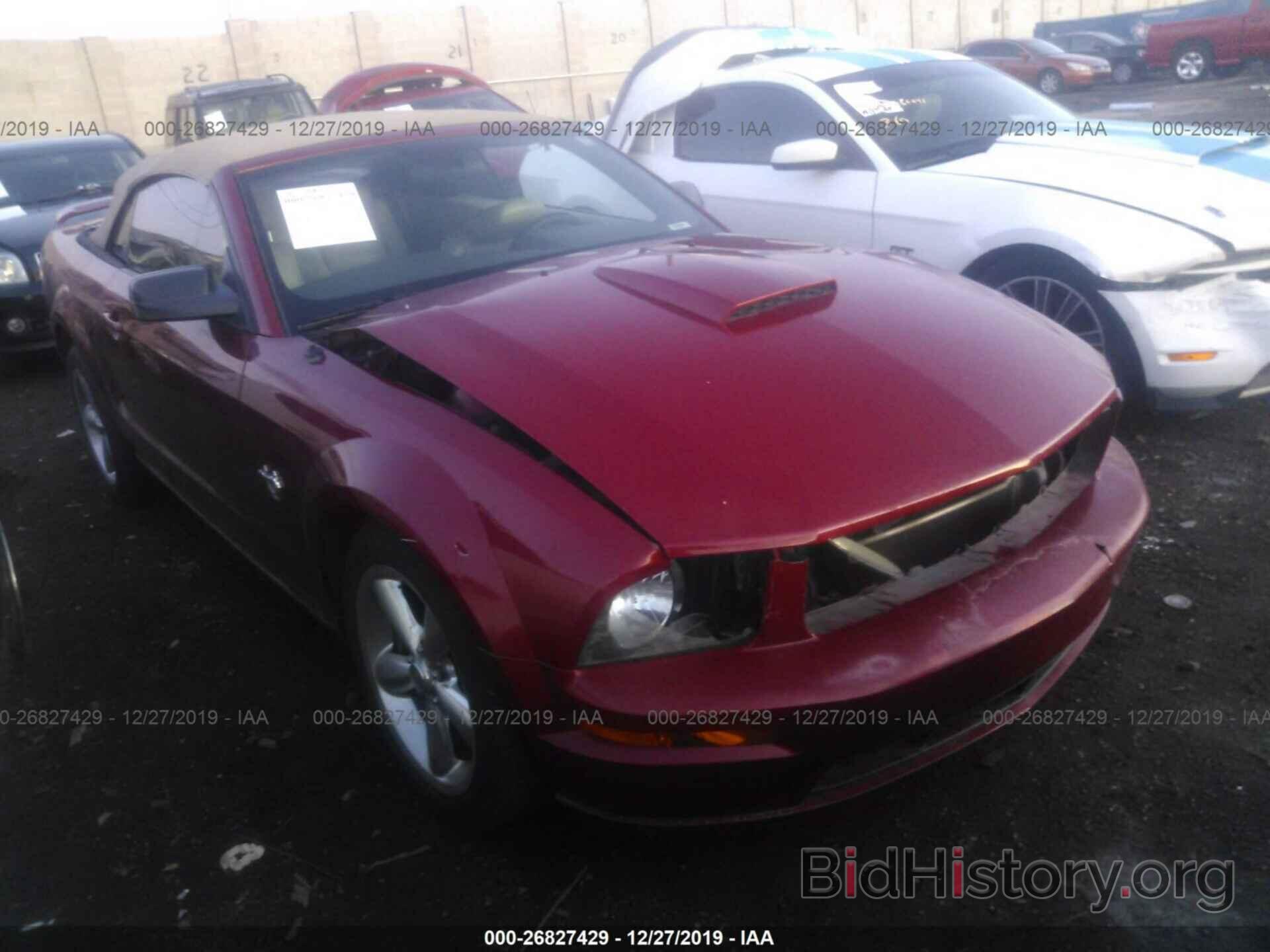 Photo 1ZVHT85H595109641 - FORD MUSTANG 2009