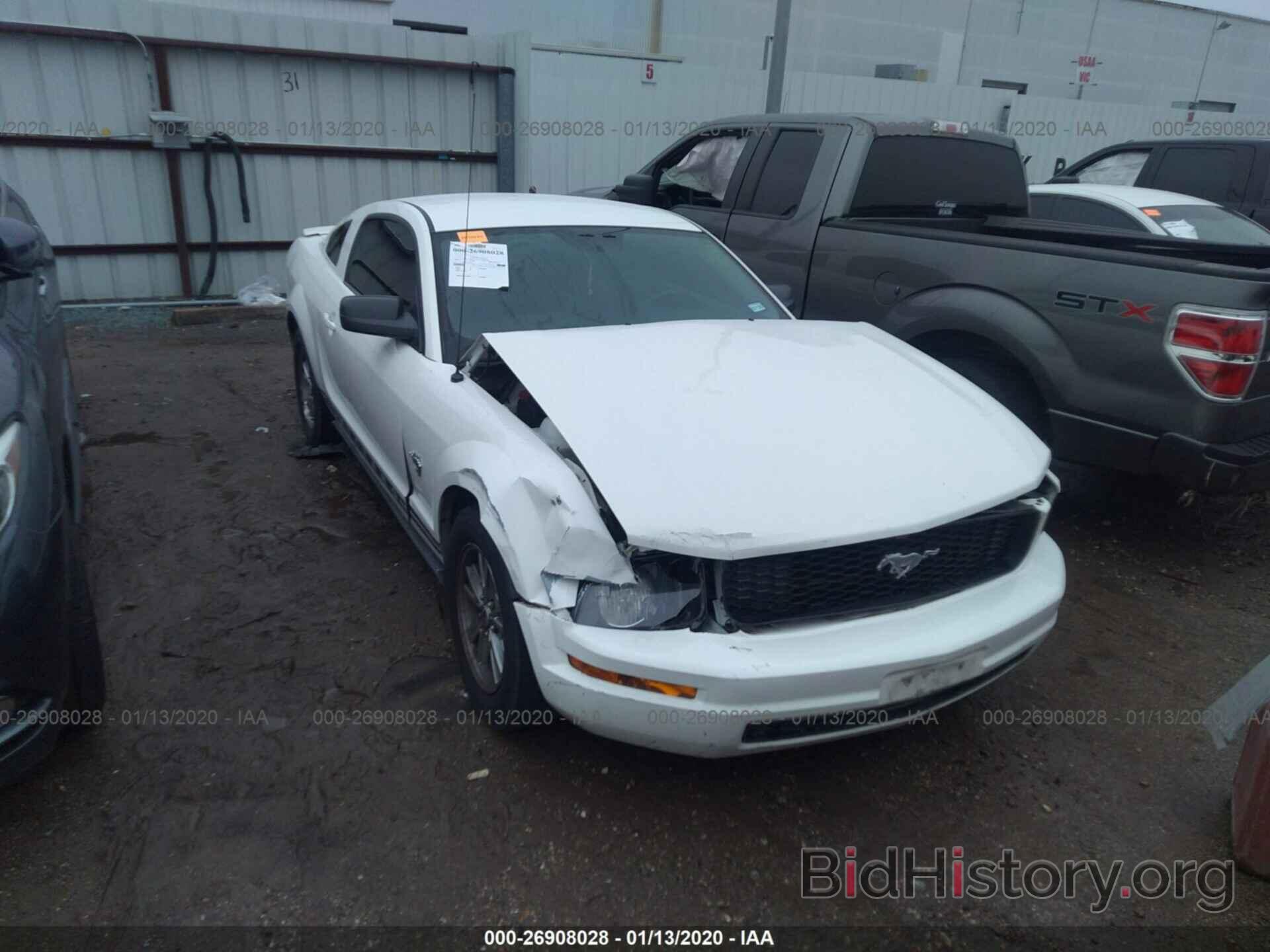 Photo 1ZVHT80N195127261 - FORD MUSTANG 2009