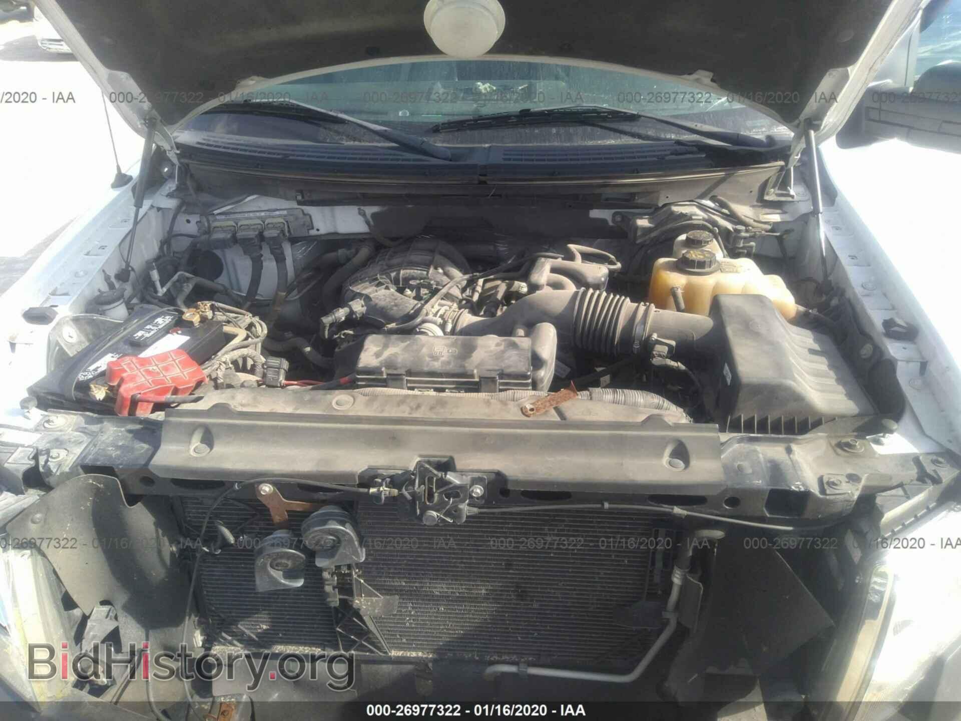 2013 FORD F150 - VIN: 1FTMF1EM9DFE08632 - Фото 10